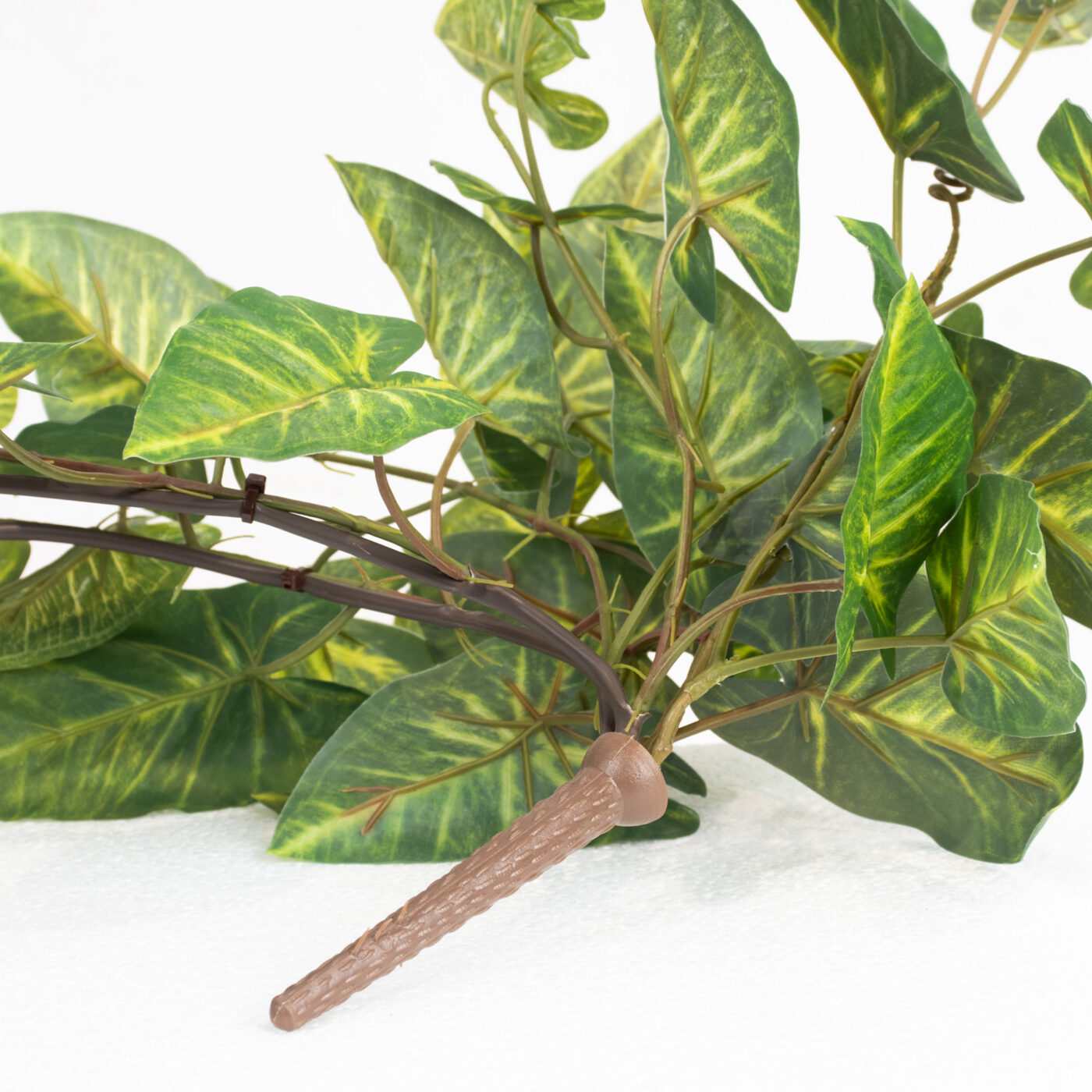 HANGING CALADIUM SPIDER PLANT 75CM GR/CR