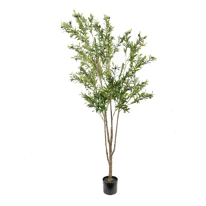OLIVE TREE LEAF IN BPP 190CM GREEN