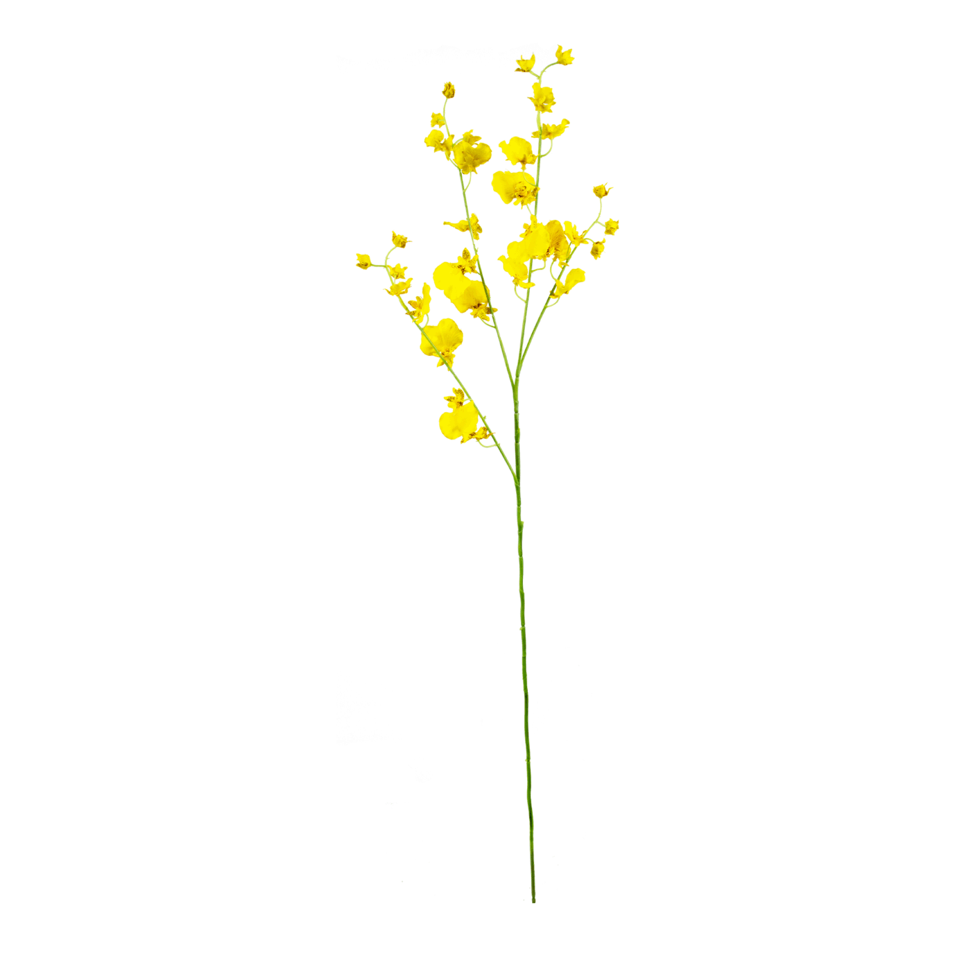 DANCING ORCHID SPRAY X 4 YELLOW 74CM