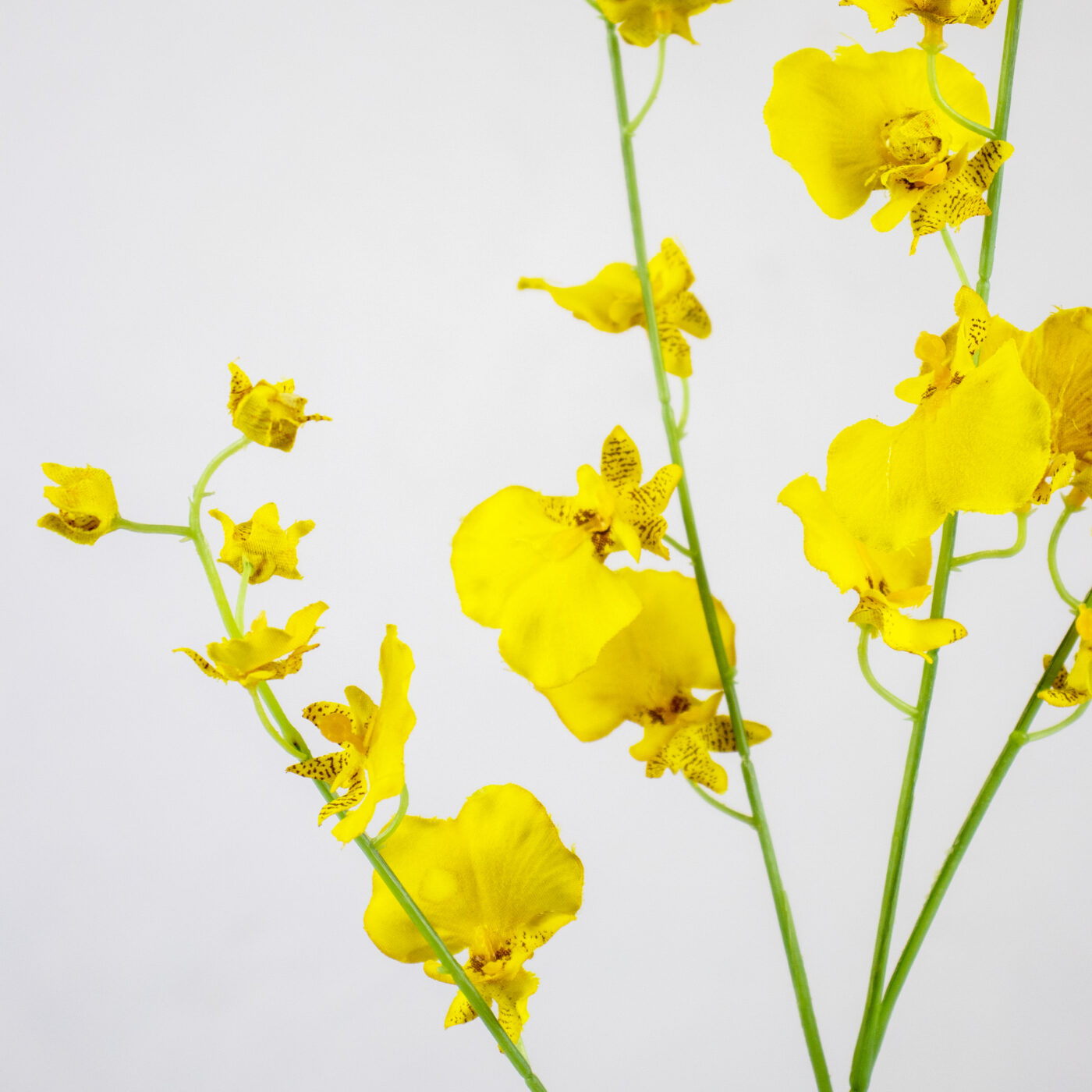 DANCING ORCHID SPRAY X 4 YELLOW 74CM