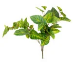 CALADIUM BUSH PICK 45CM GR/CR