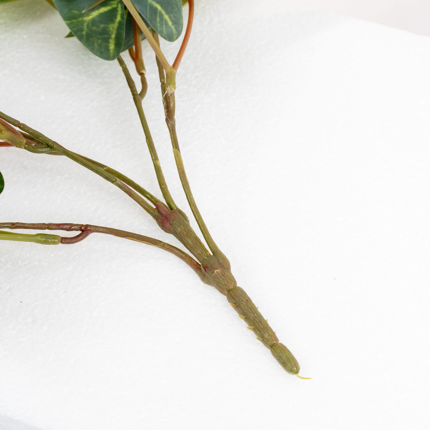 CALADIUM BUSH PICK 45CM GR/CR
