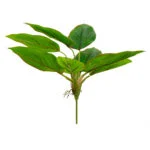 DIEFFENBACHIA PLANT 9 LEAVES 40CM GREEN/BROWN