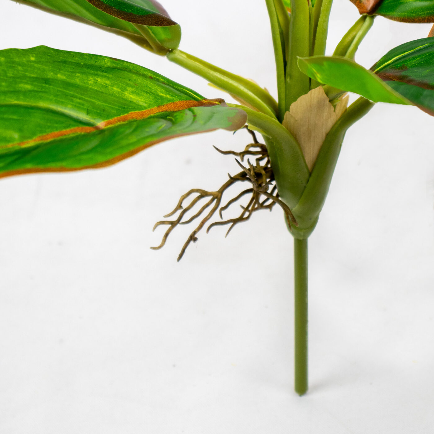 DIEFFENBACHIA PLANT 9 LEAVES 40CM GREEN/BROWN