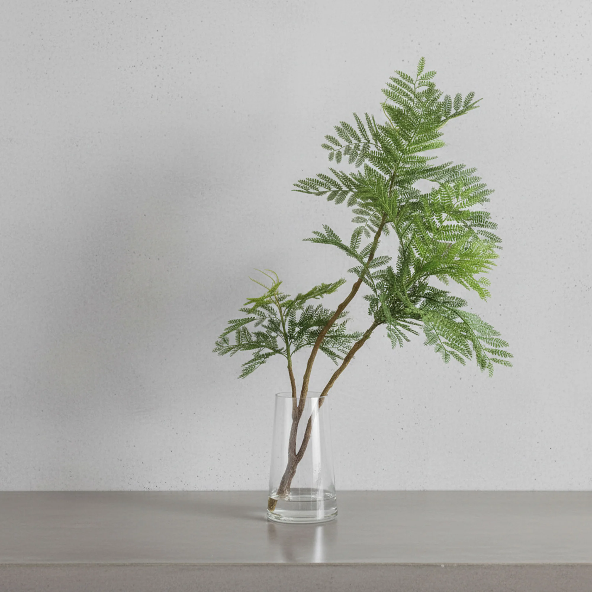 FERN TREE IN TAPERED GLASS VASE