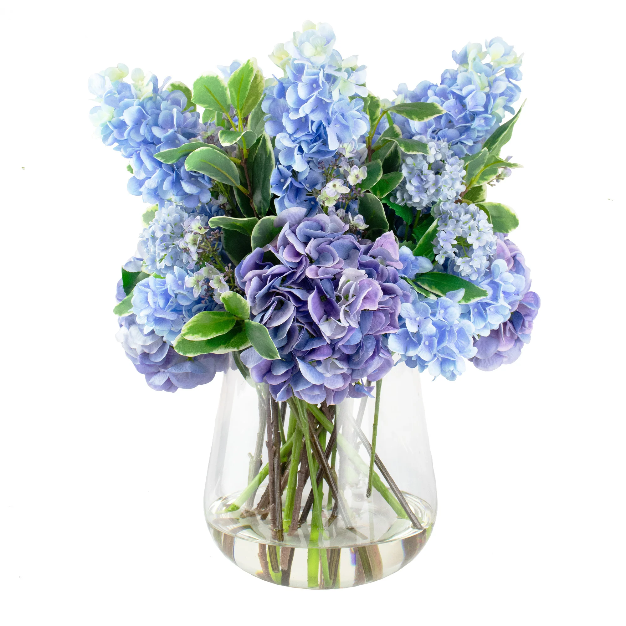 MIXED BLUE HYDRANGEAS IN TULIP VASE