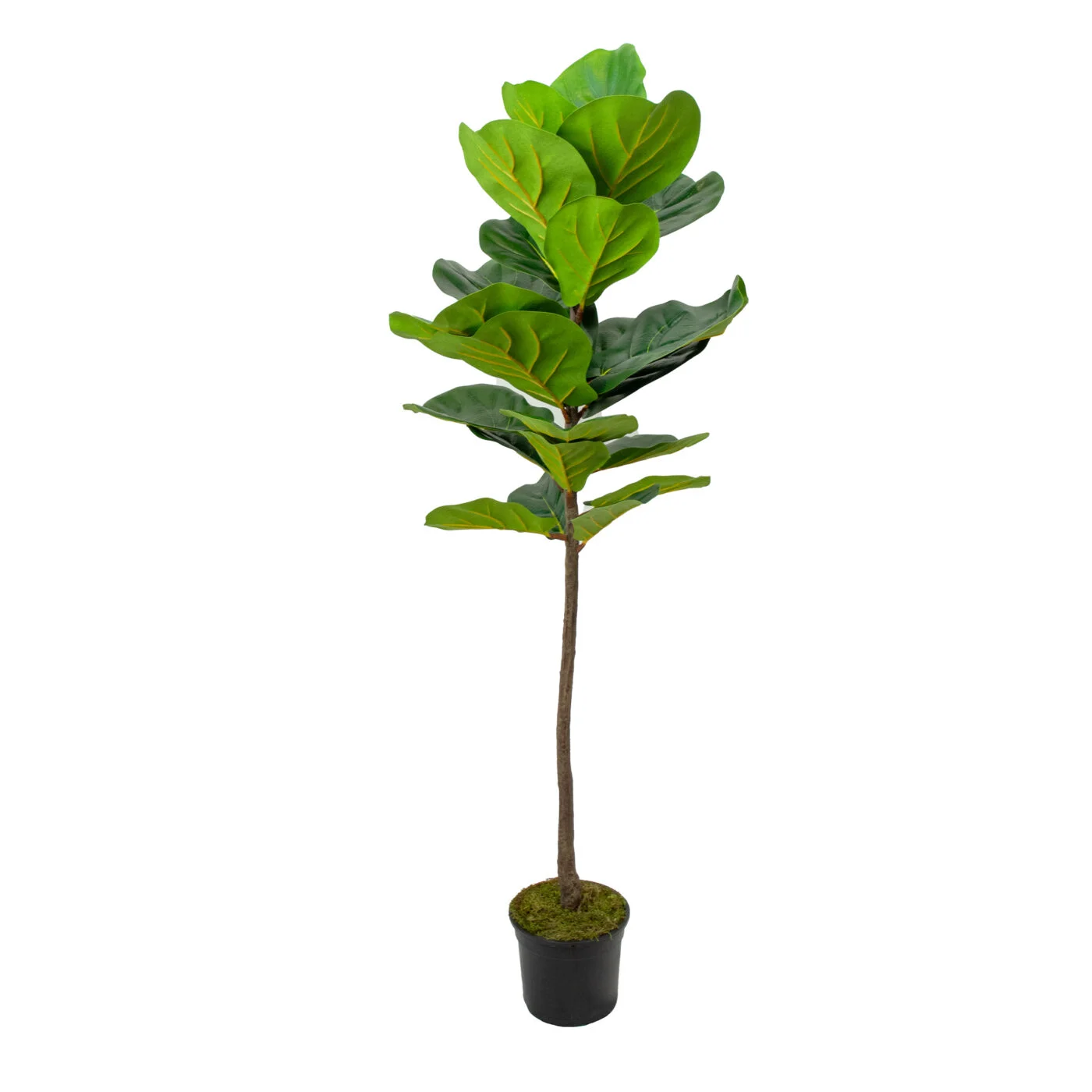 Green Artificial Fiddle Leaf Fig Branch with 23 Leaves 115cm Tall