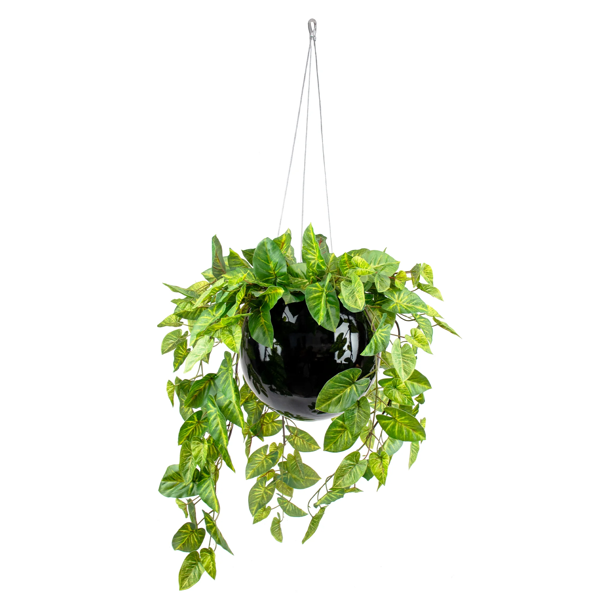 HANGING ORB MEDIUM WITH CALADIUM BUSH