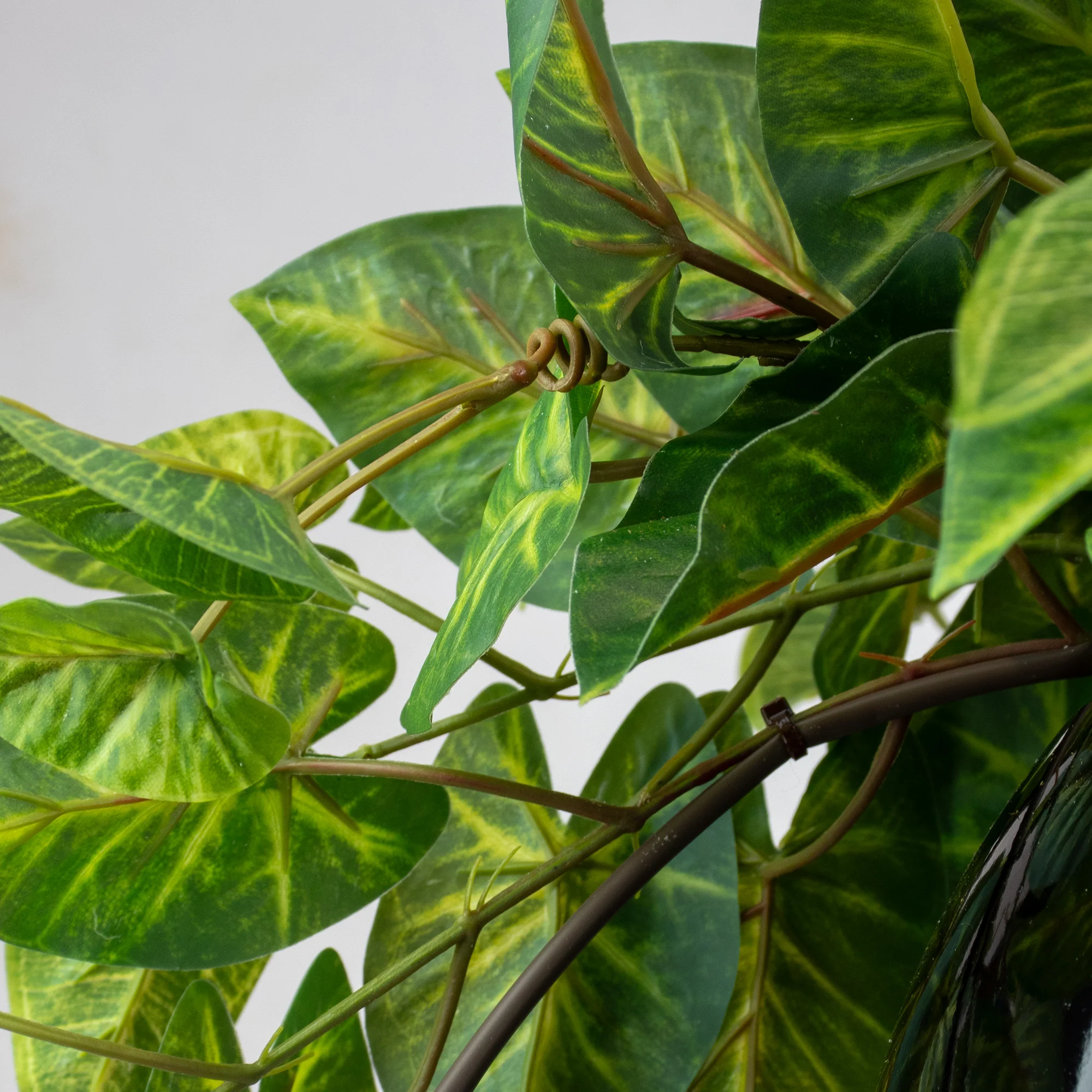 HANGING ORB MEDIUM WITH CALADIUM BUSH