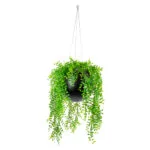 HANGING RUSCUS BUSH IN SMALL BLACK ORB
