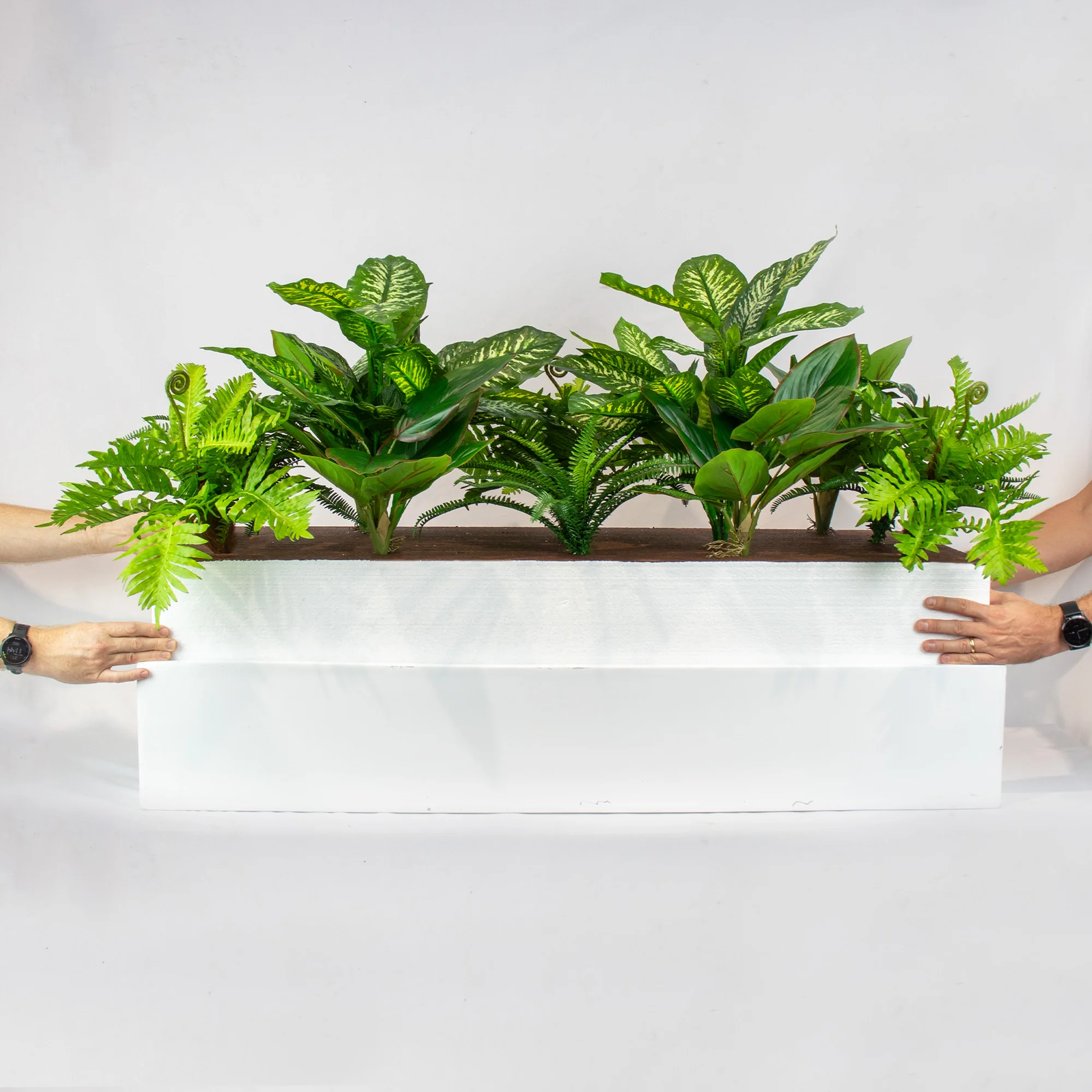 MIXED PLANTS IN POLY TRAY 31-50CM WIDE