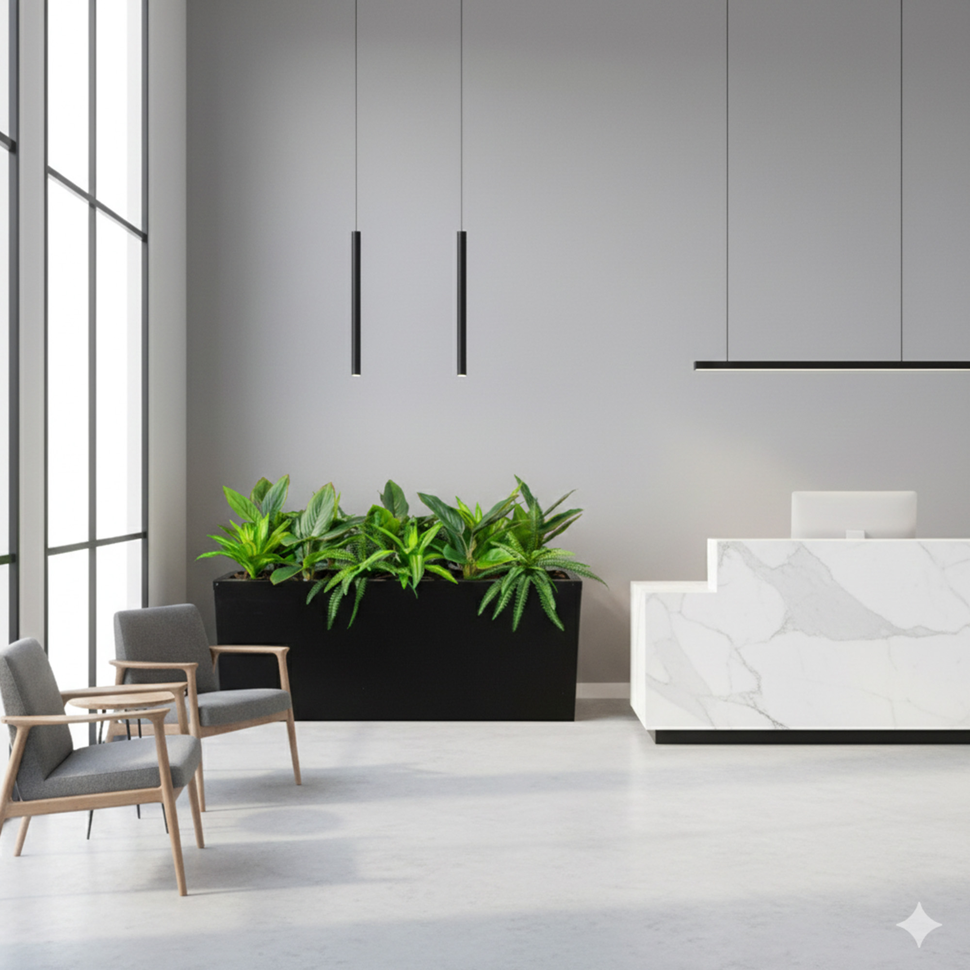 MIXED PLANTS IN POLY TRAY 16-30CM WIDE - Image 4