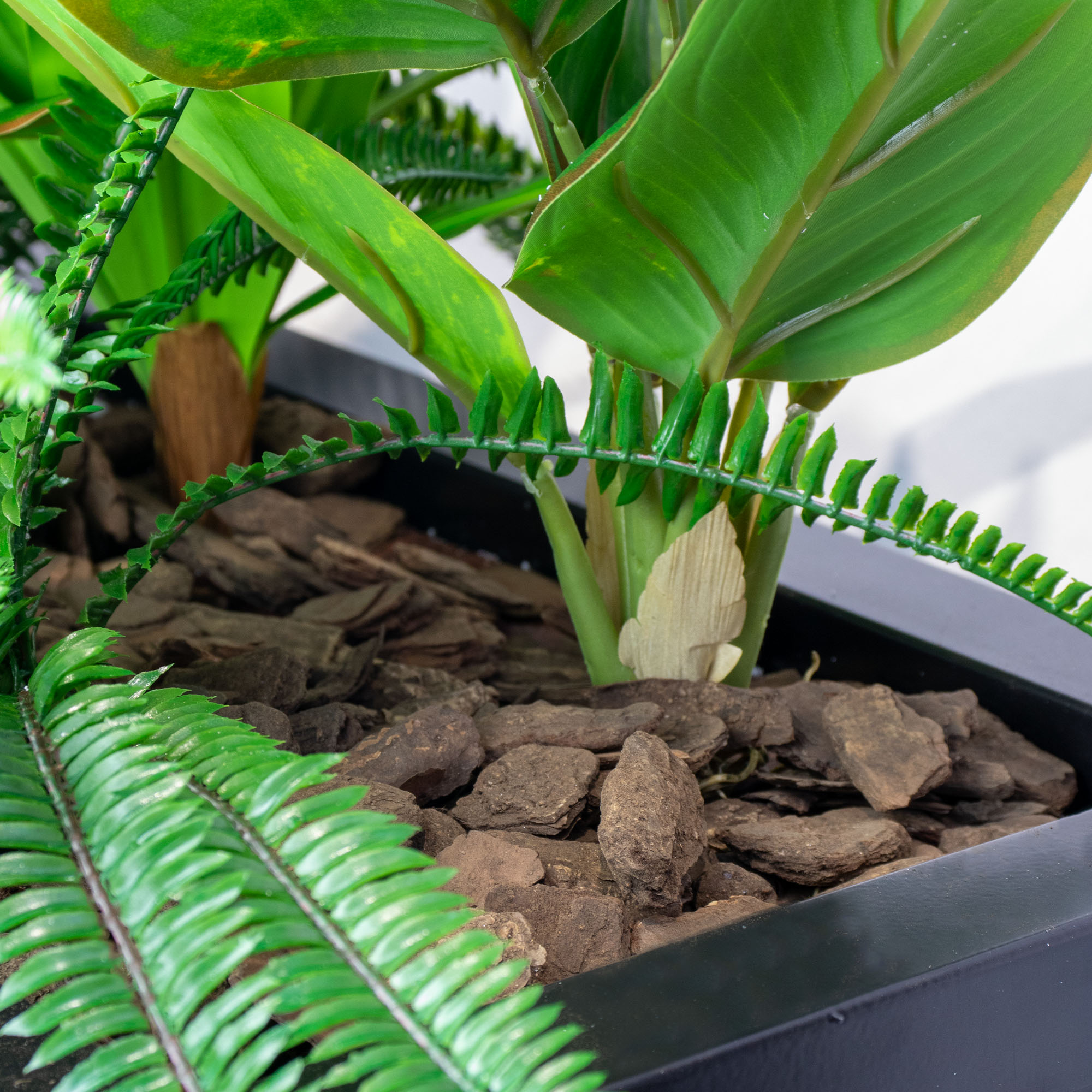 MIXED PLANTS IN POLY TRAY 16-30CM WIDE - Image 3