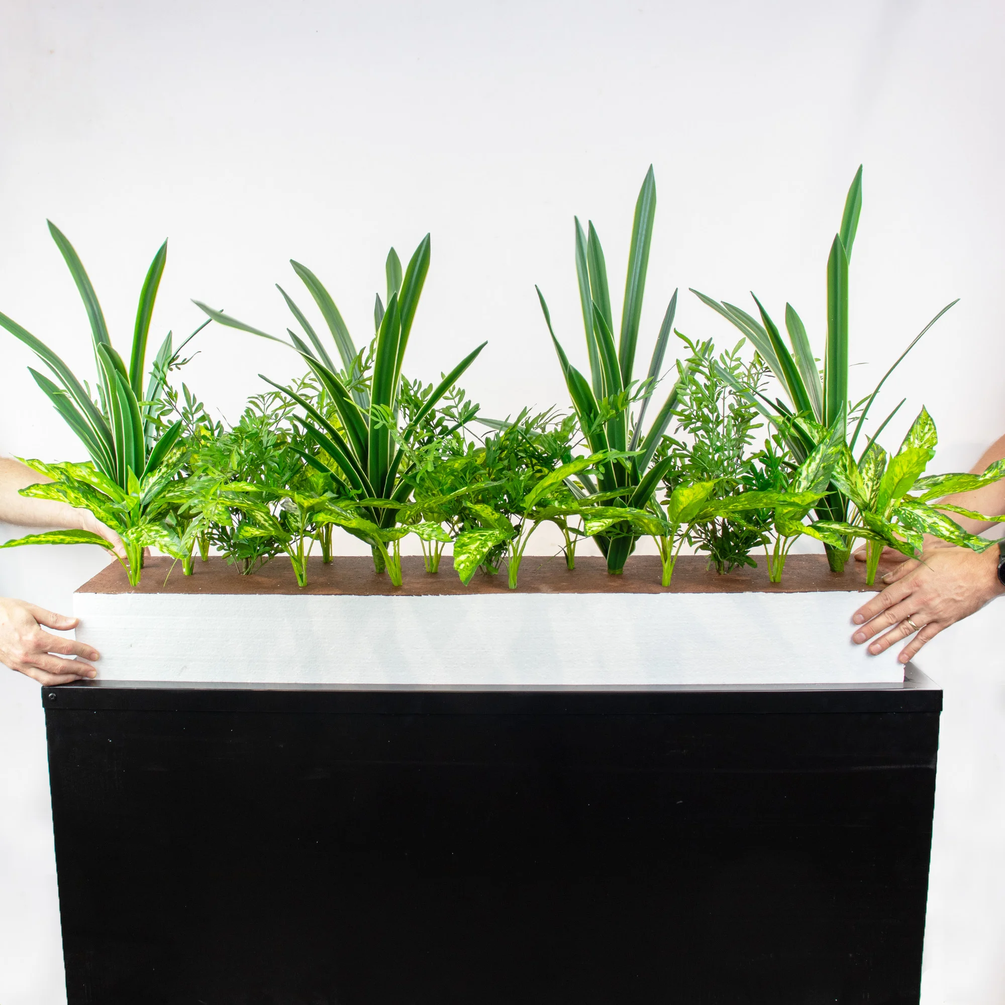 MIXED PLANTS IN POLY TRAY 16-30CM WIDE