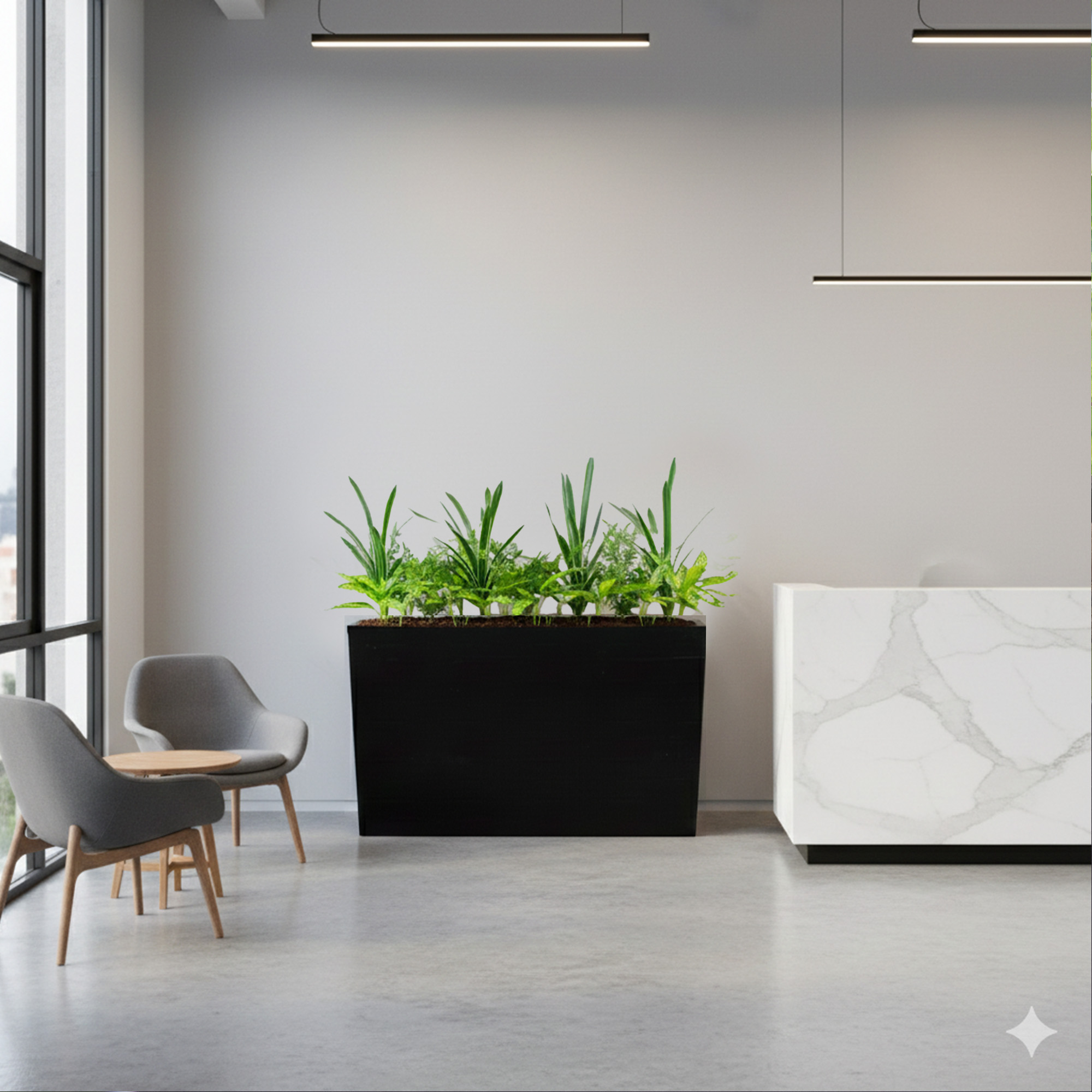 MIXED PLANTS IN POLY TRAY 16-30CM WIDE - Image 5