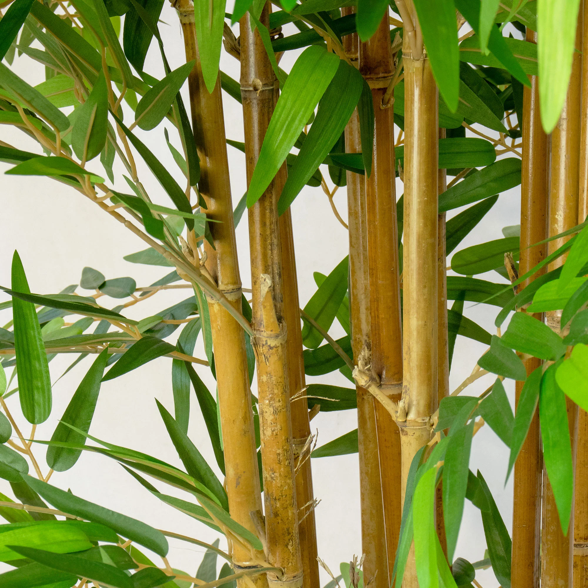 Green Artificial Bamboo Tree with Real Stems | 220cm Tall