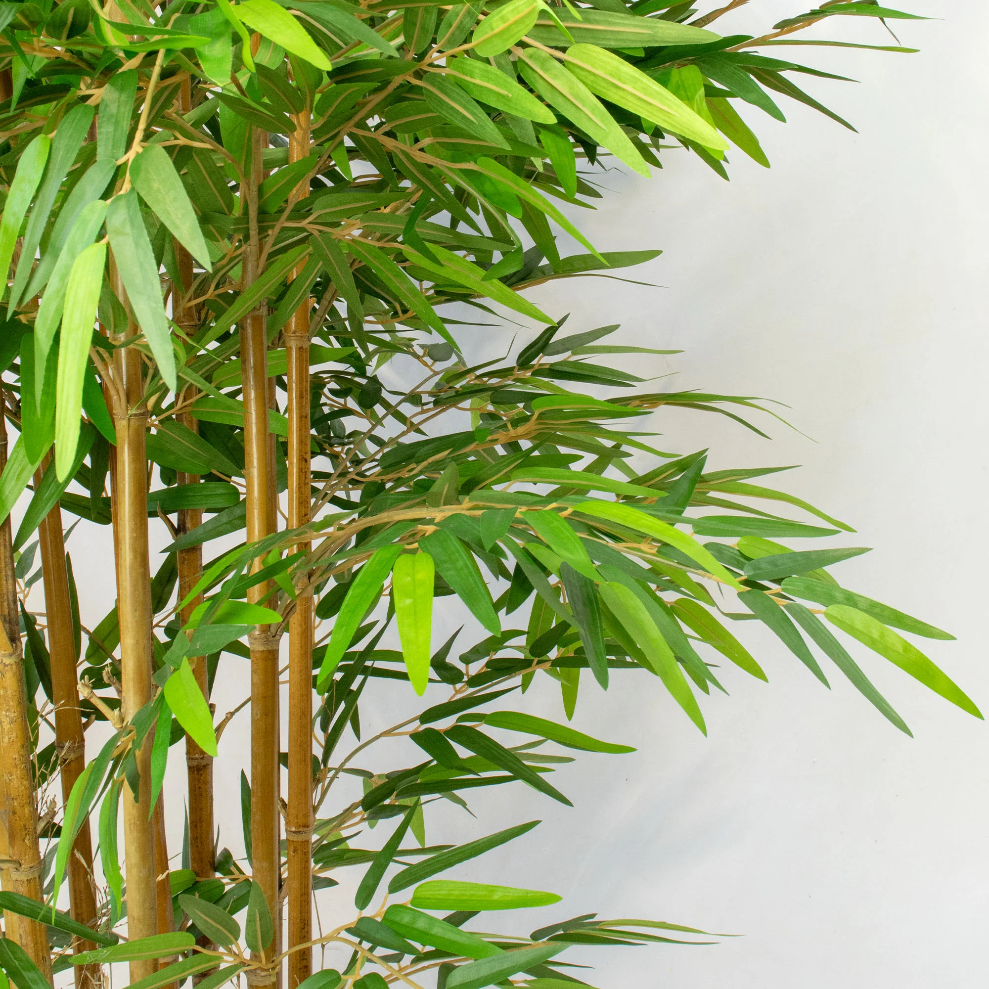 Green Artificial Bamboo Tree with Real Stems | 220cm Tall