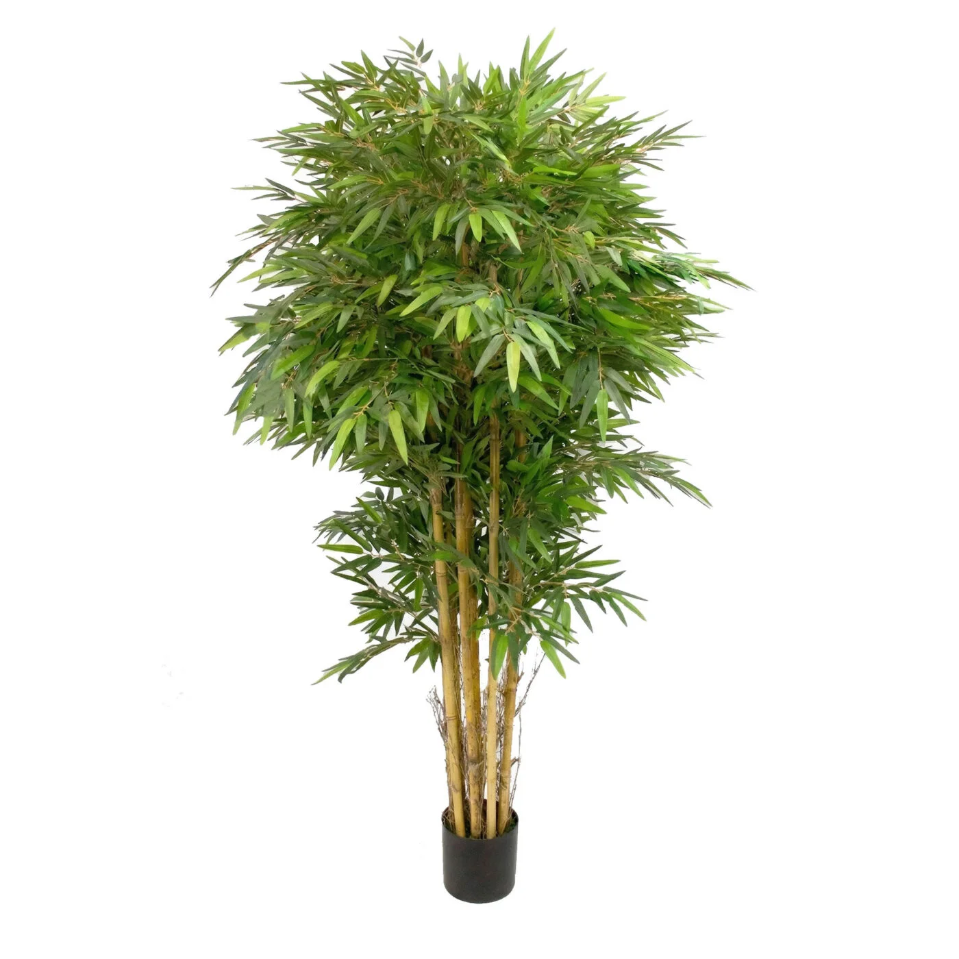 Green Artificial Bamboo Tree with Real Stems | 220cm Tall
