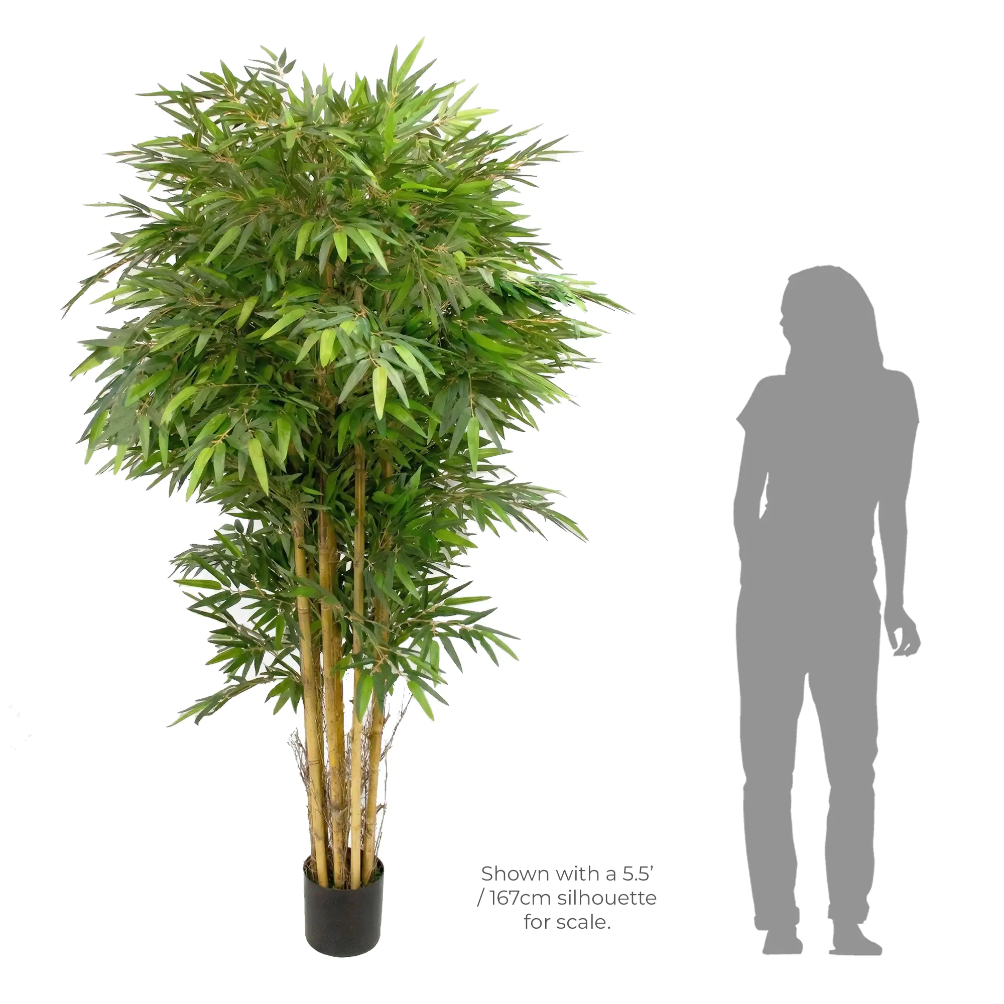Green Artificial Bamboo Tree with Real Stems | 220cm Tall