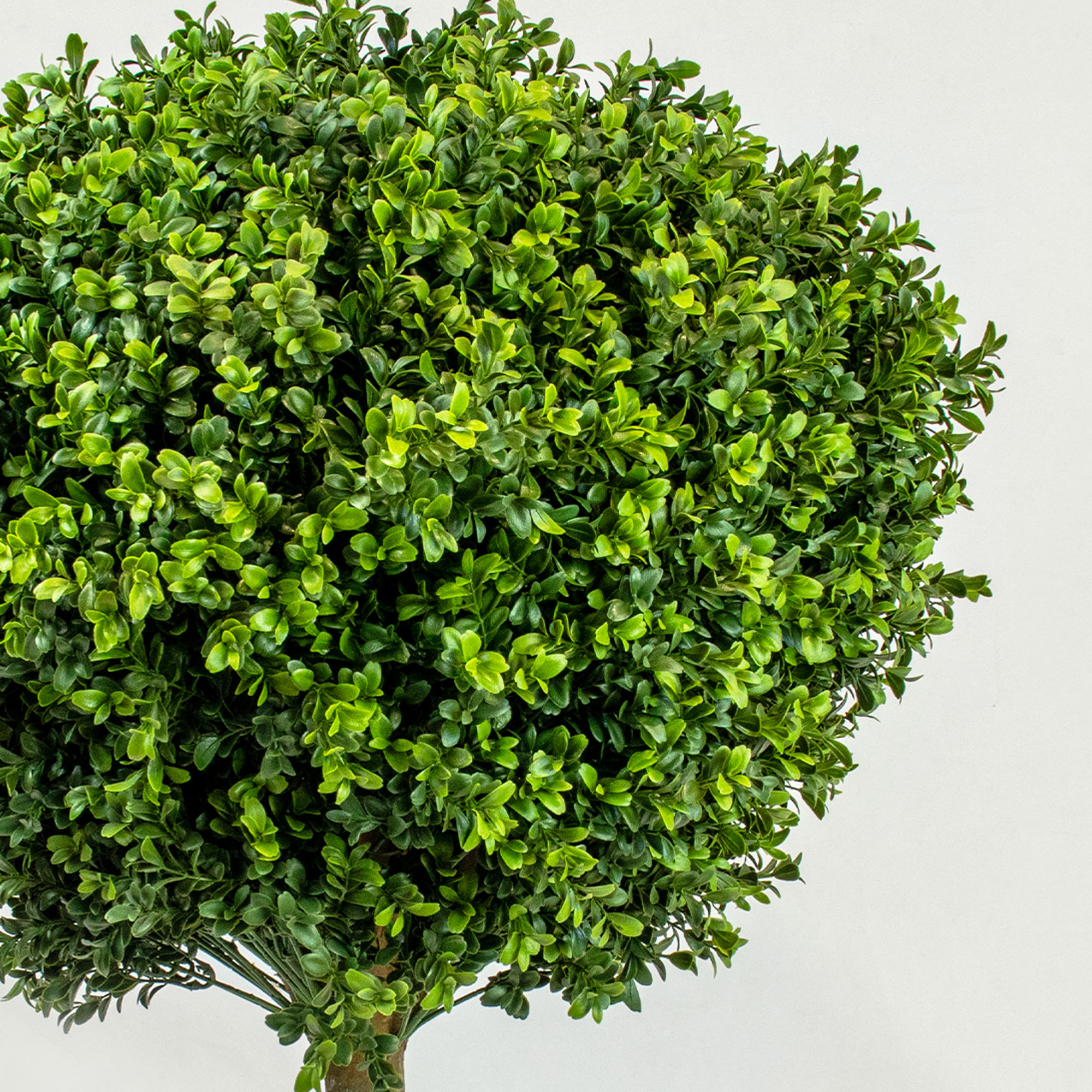 UV-resistant Buxus topiary tree 60cm