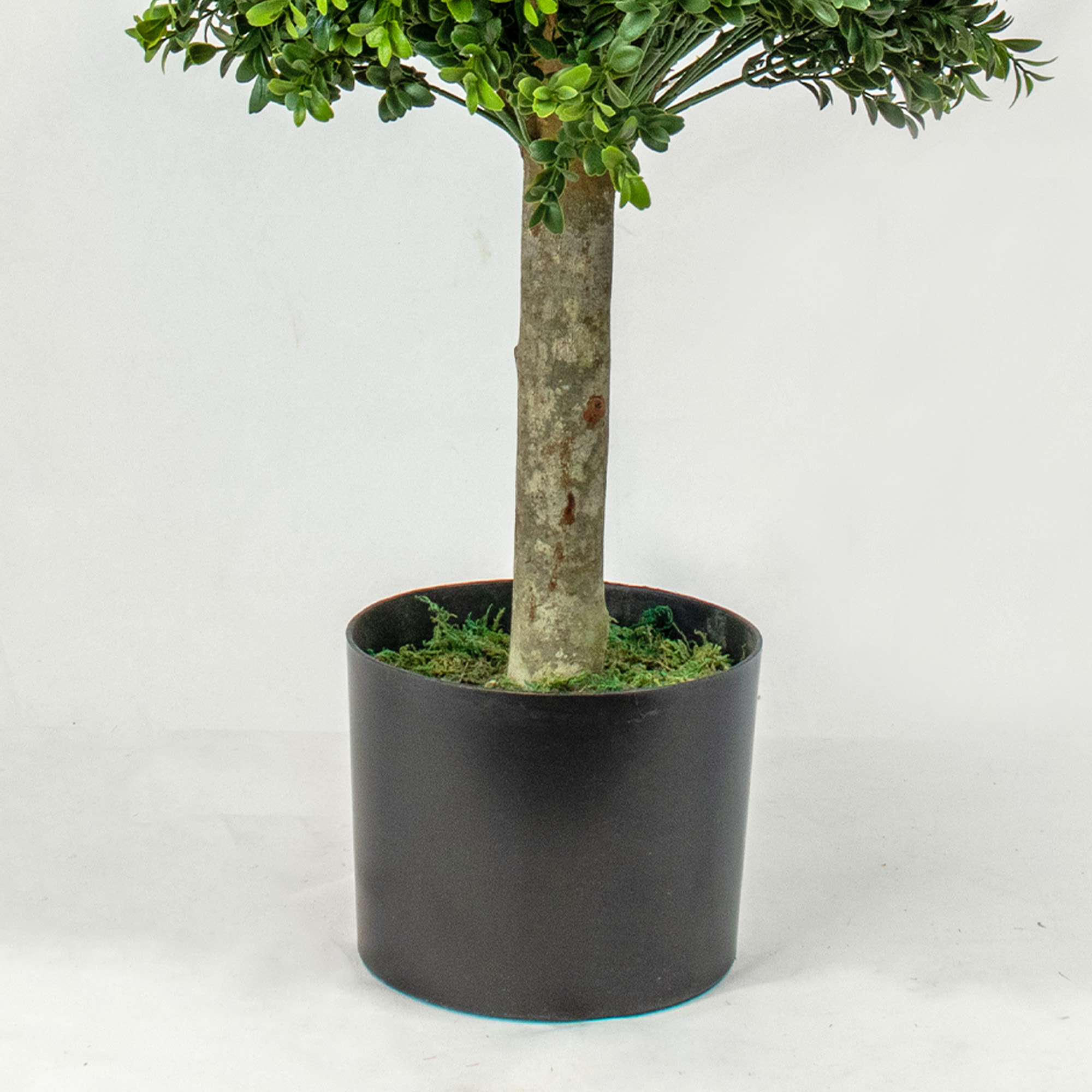 UV-resistant Buxus topiary tree 60cm