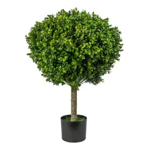 UV-resistant Buxus topiary tree 60cm