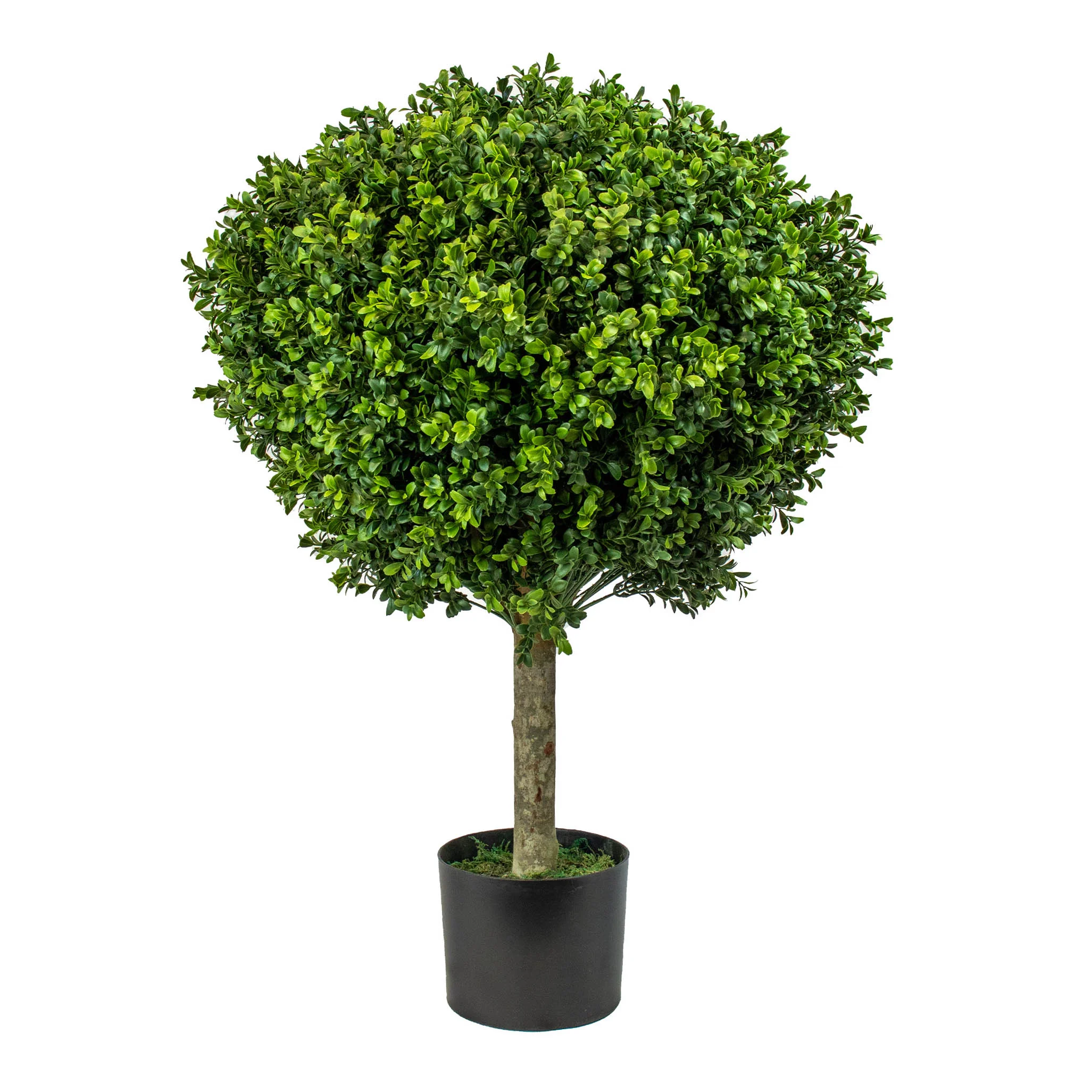 UV-resistant Buxus topiary tree 60cm