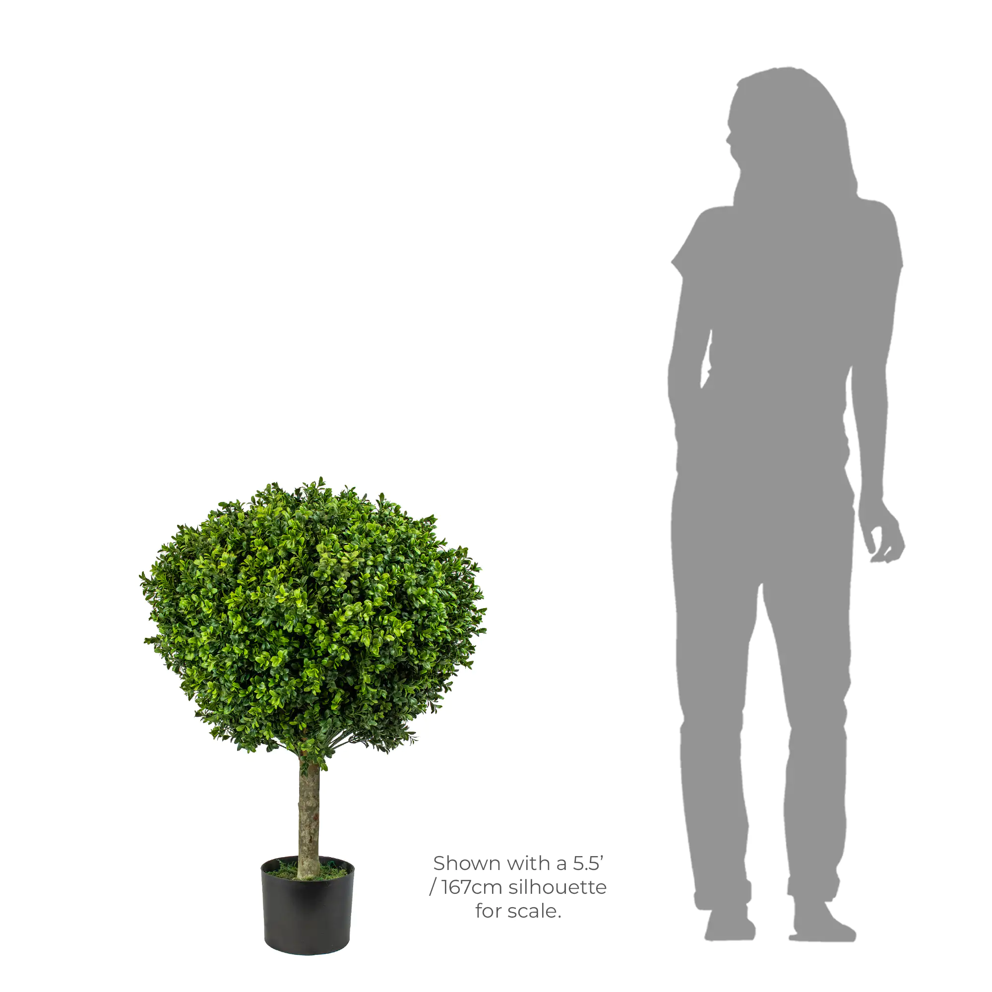 UV-resistant Buxus topiary tree 60cm