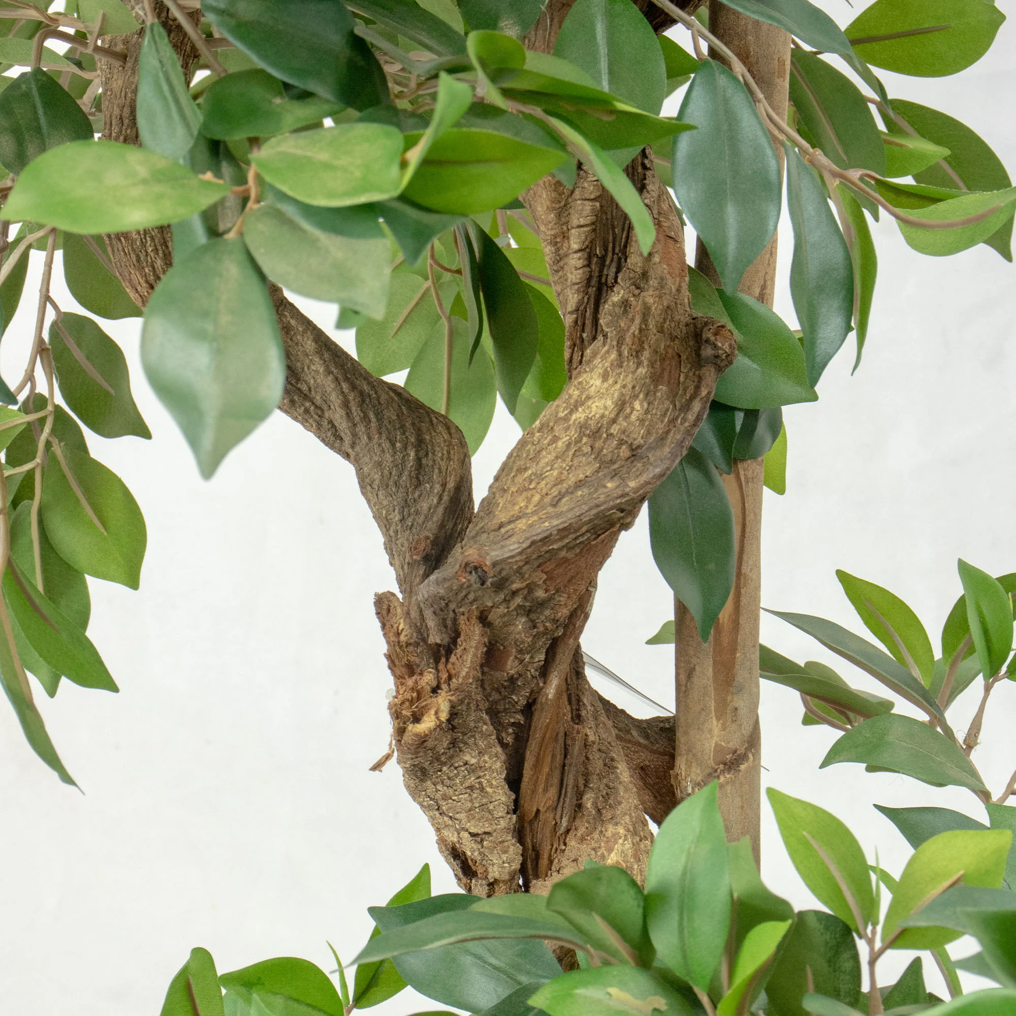 Ficus Retusa Artificial Tree with Stylised Roots 180cm Tall 96cm Wide 3 Tiers in Black Nursery Pot