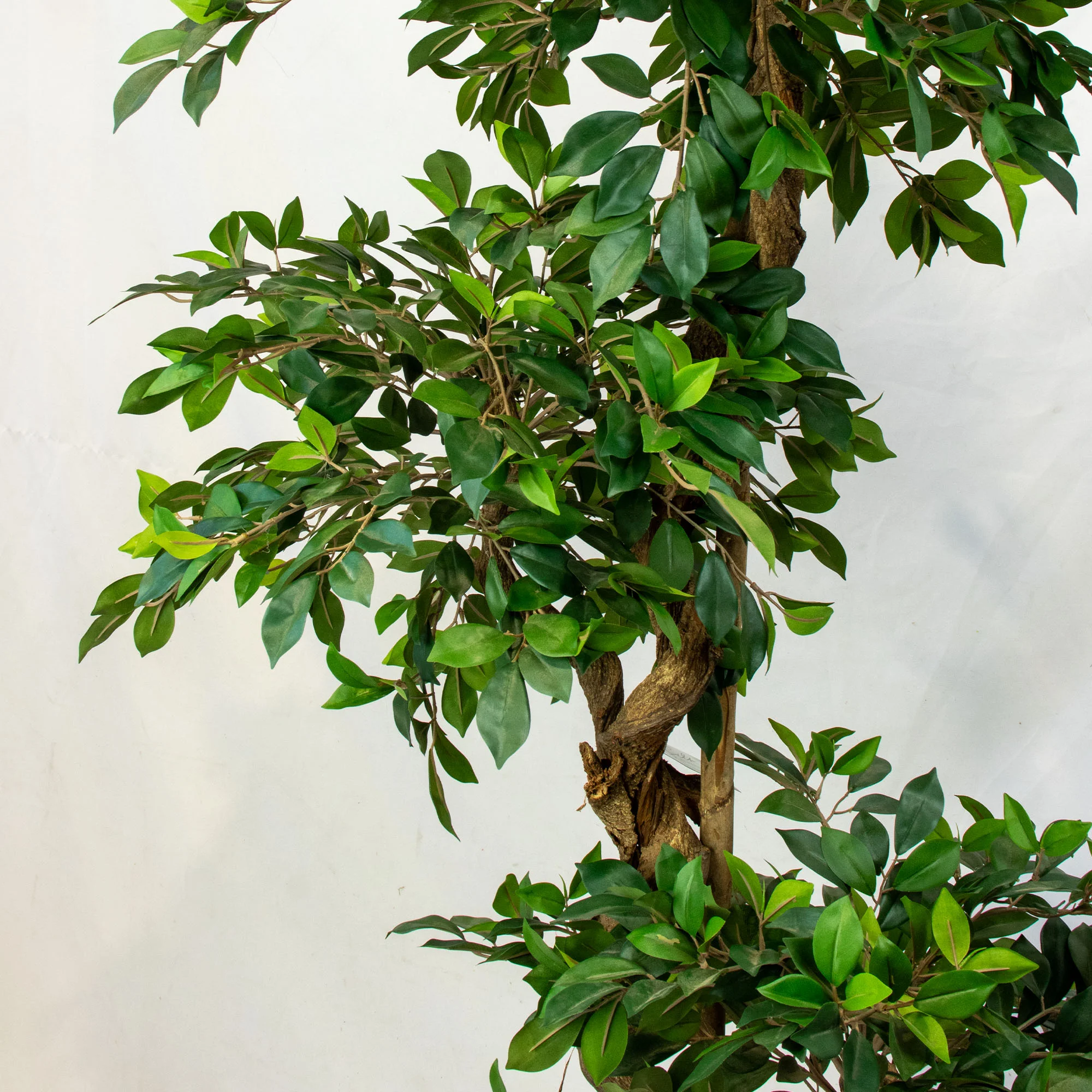 Ficus Retusa Artificial Tree with Stylised Roots 180cm Tall 96cm Wide 3 Tiers in Black Nursery Pot