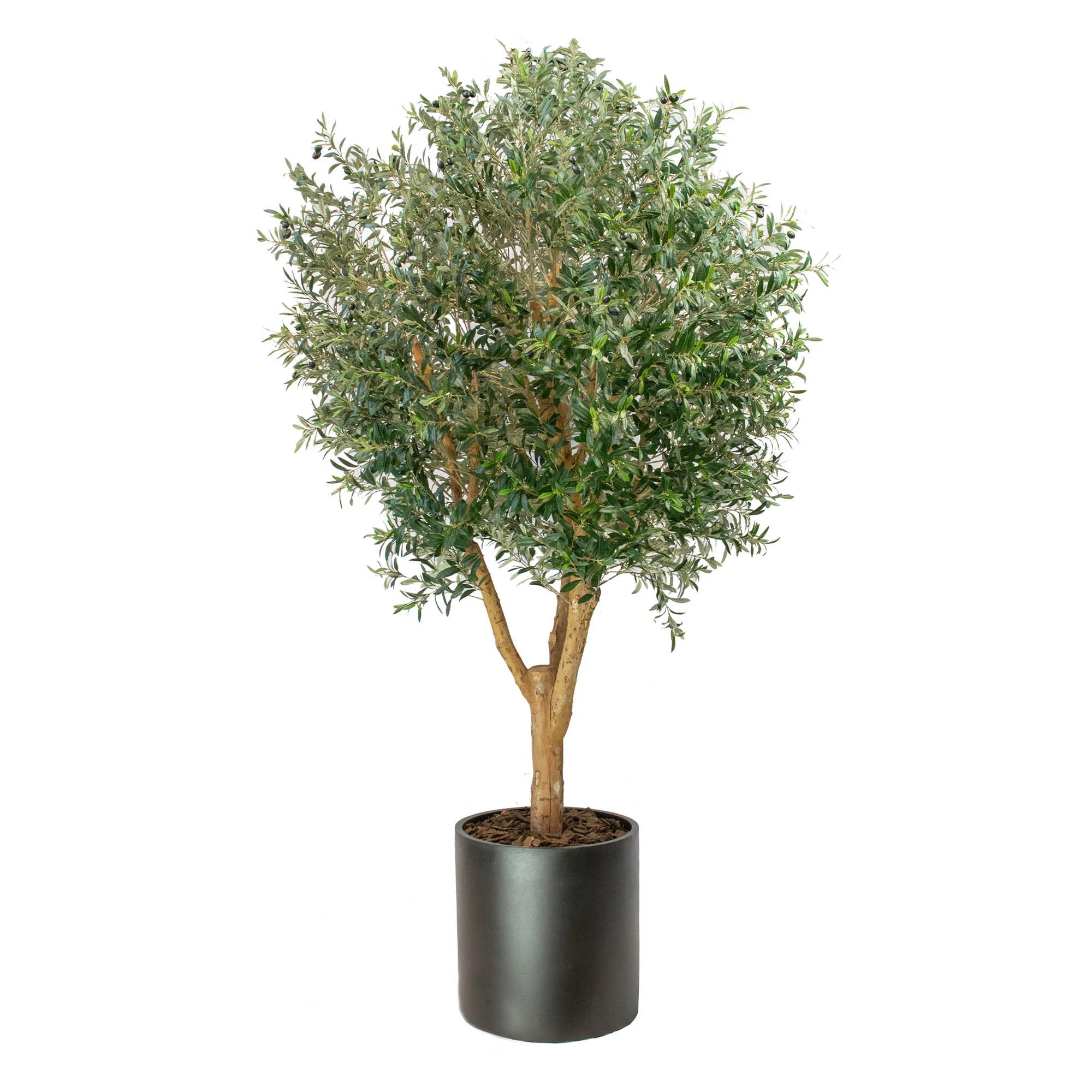 Uv-Resistant Olive Tree with Fruit 240cm