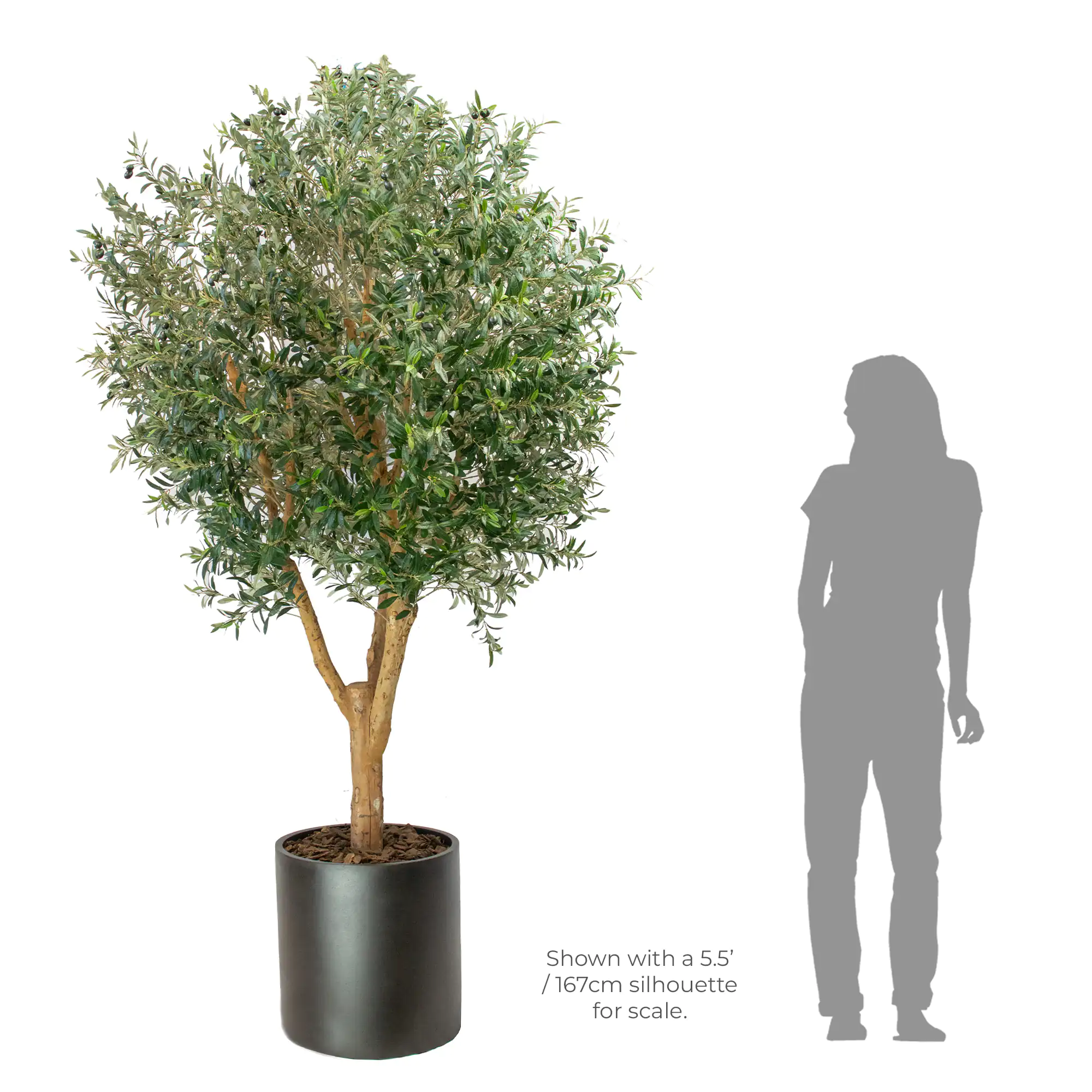 UV-Resistant Artificial Olive Tree with Real Wood Trunk 240cm Tall