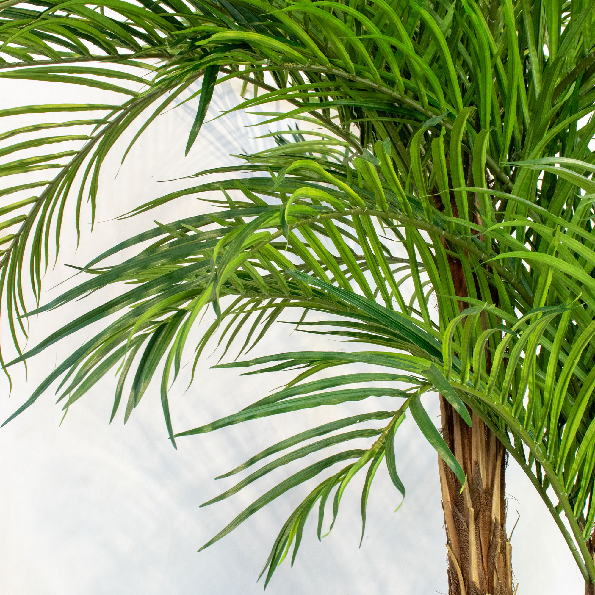 Large Twin Stemmed Areca Palm Artificial Tree 240cm Tall 240cm Wide