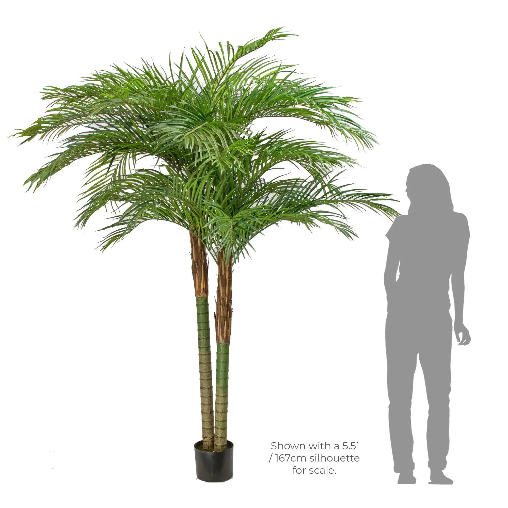 Large Twin Stemmed Areca Palm Artificial Tree 240cm Tall 240cm Wide