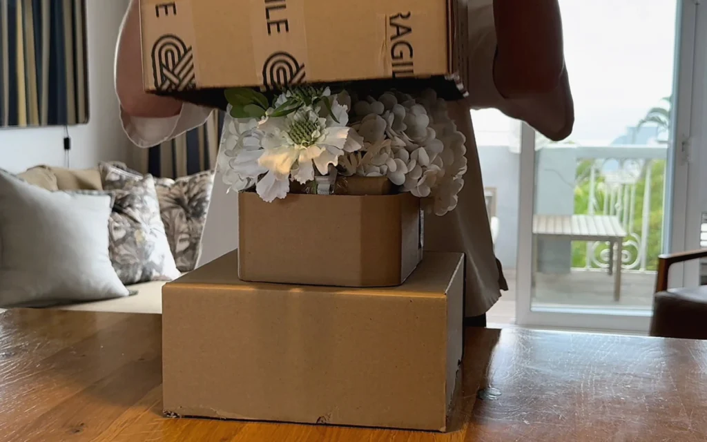 Unboxing - Revealing the arrangement inside
