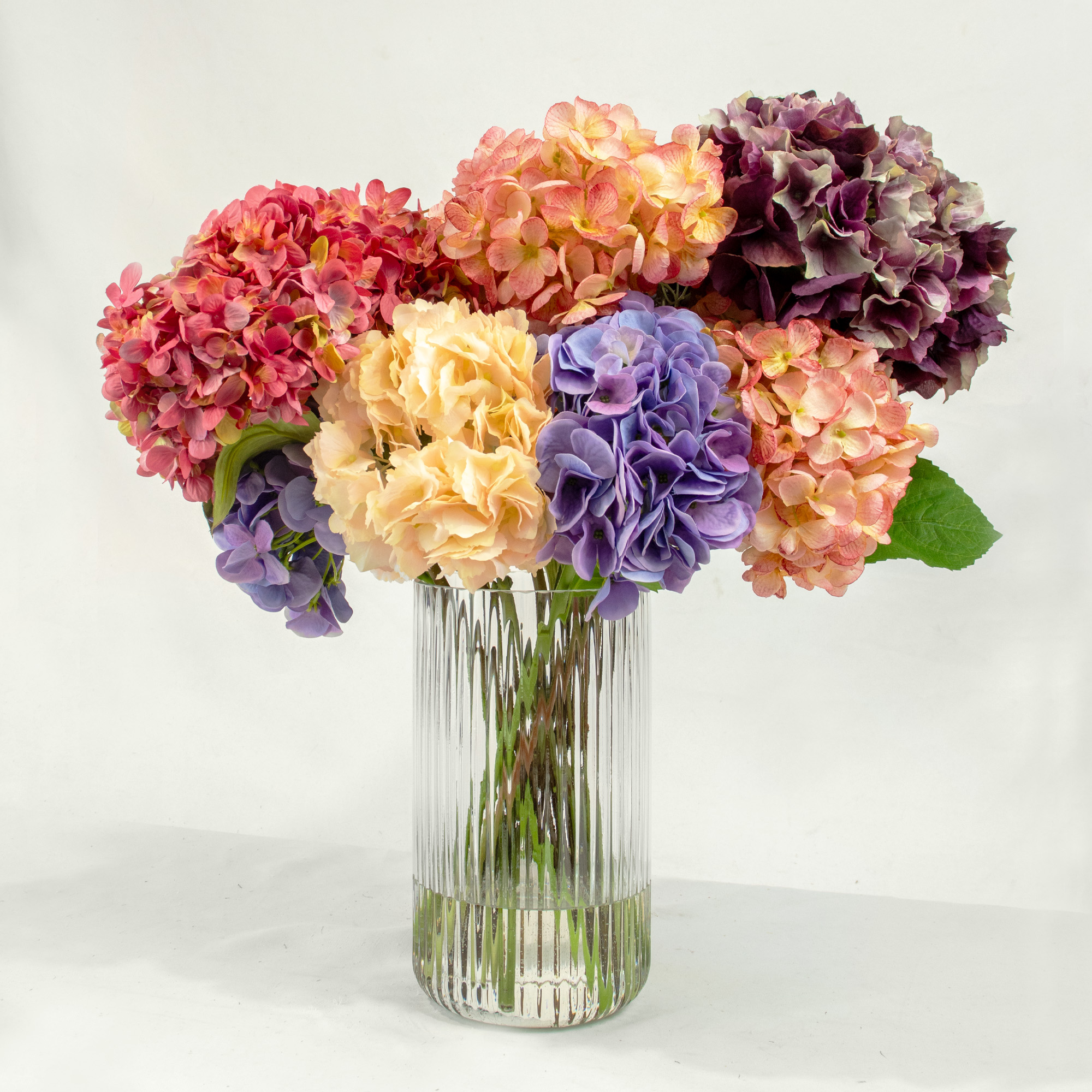 MIXED COLOUR HYDRANGEAS IN RIBBED CYLINDER VASE