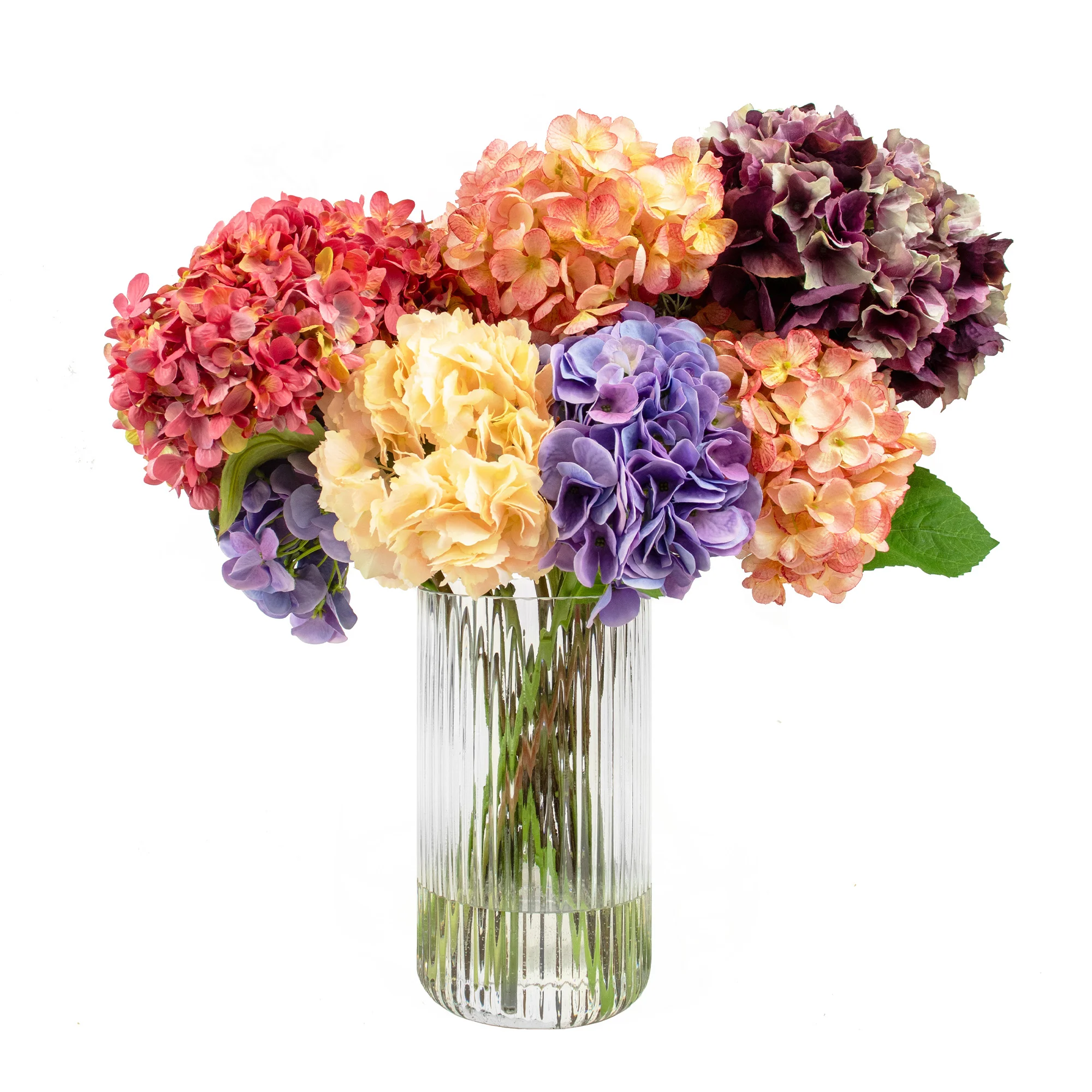 MIXED COLOUR HYDRANGEAS IN RIBBED CYLINDER VASE