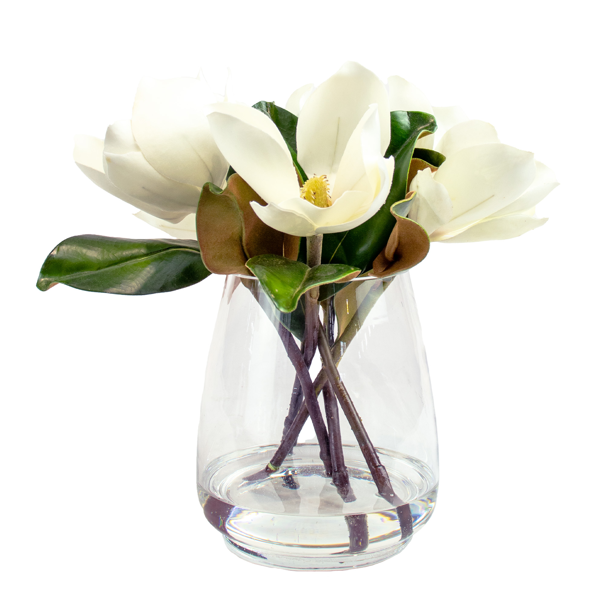 MAGNOLIA BLOOMS IN GLASS VASE