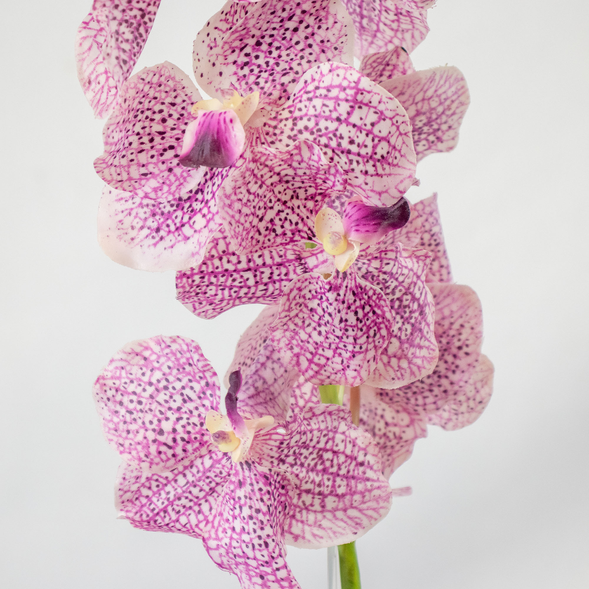 White & Purple Vanda Orchid Artificial Flower Stem
