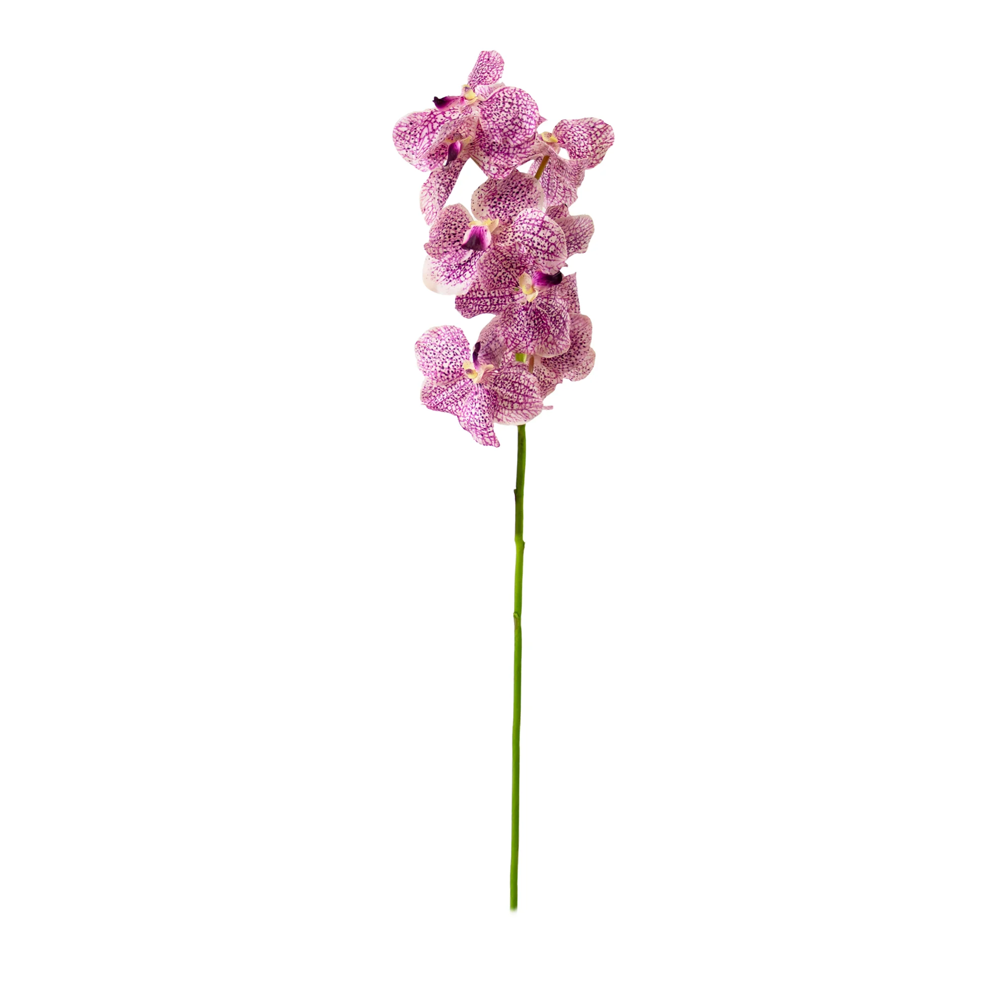 White & Purple Vanda Orchid Artificial Flower Stem