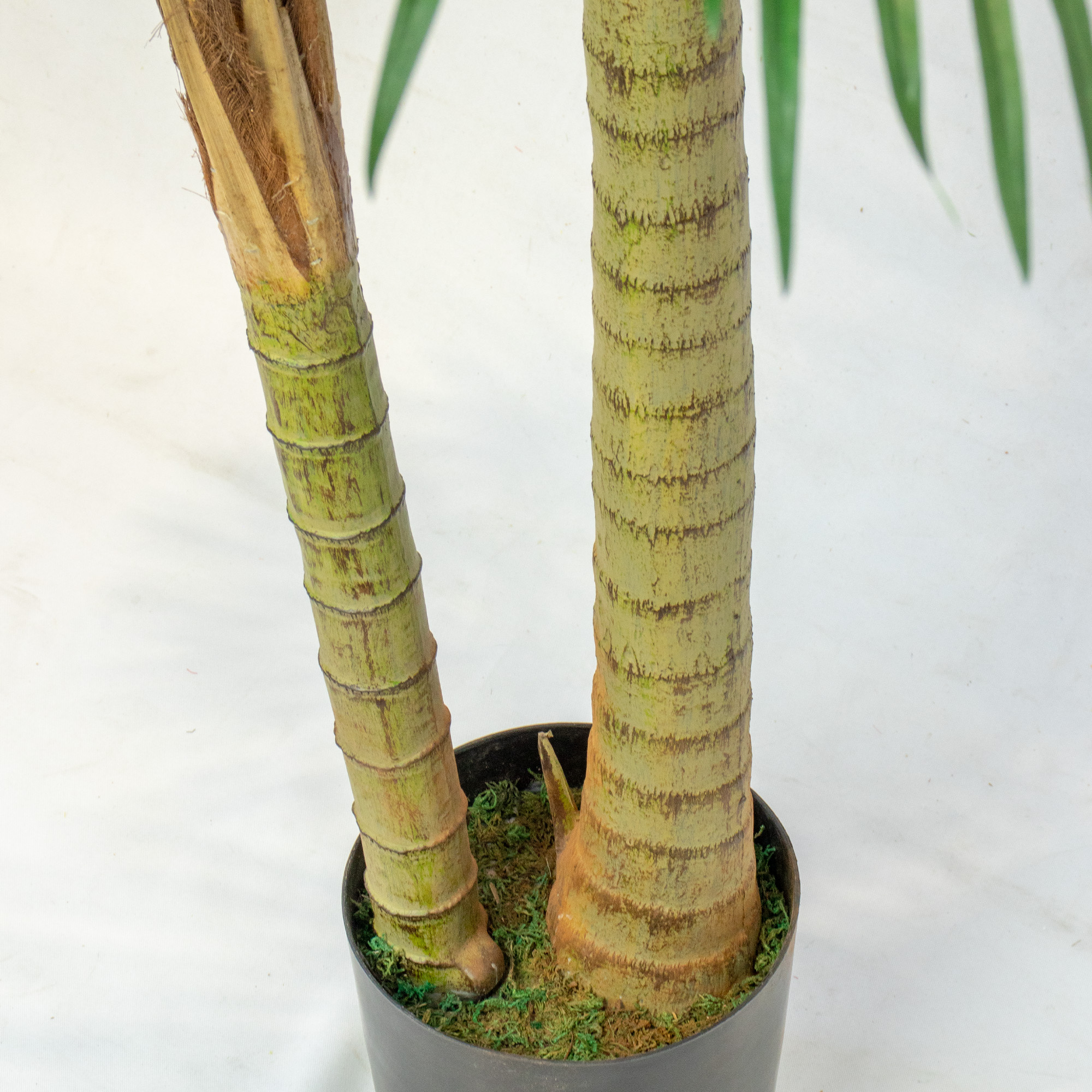 Twin Stemmed Areca Palm Artificial Tree 180cm Tall 160cm Wide