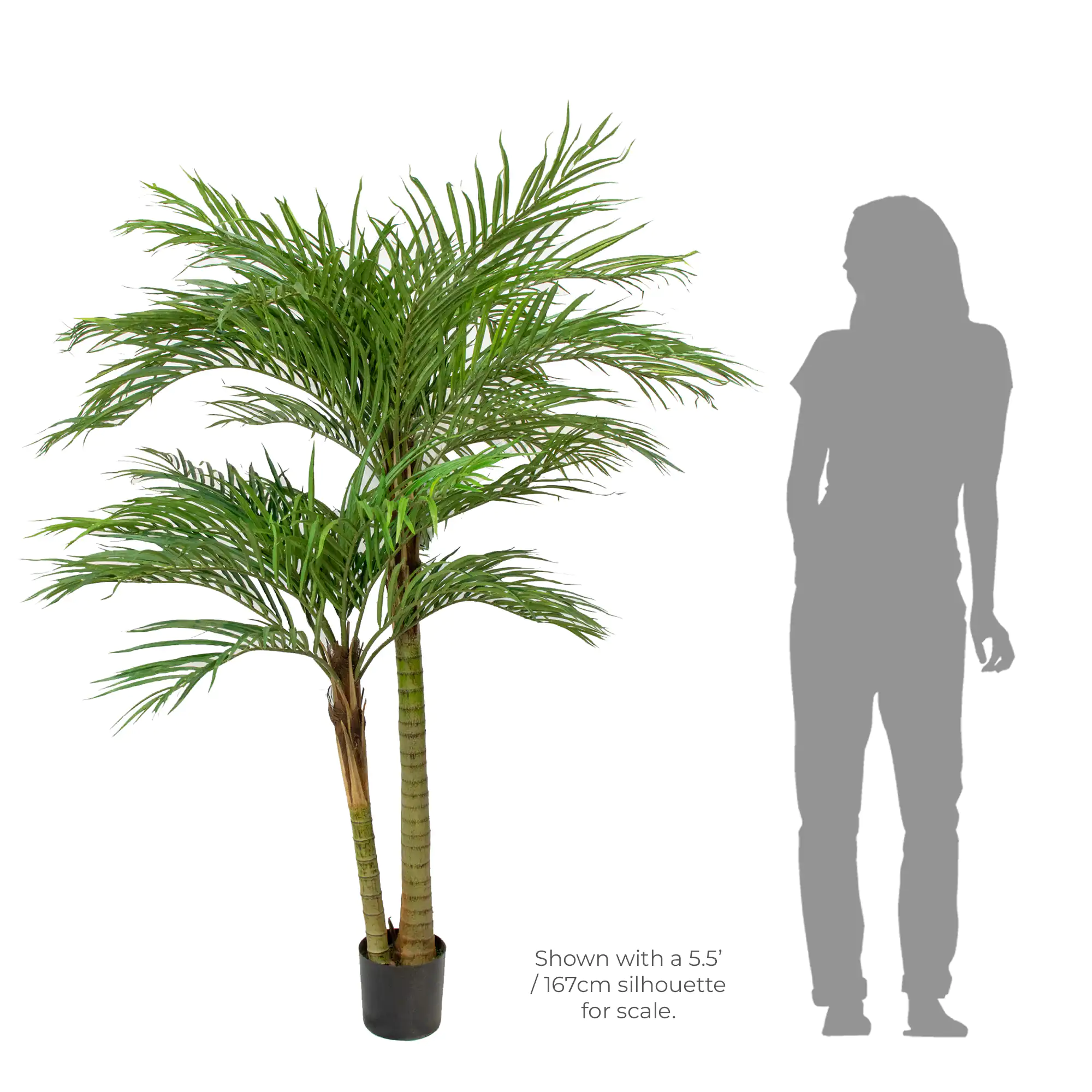 Twin Stemmed Areca Palm Artificial Tree 180cm Tall 160cm Wide