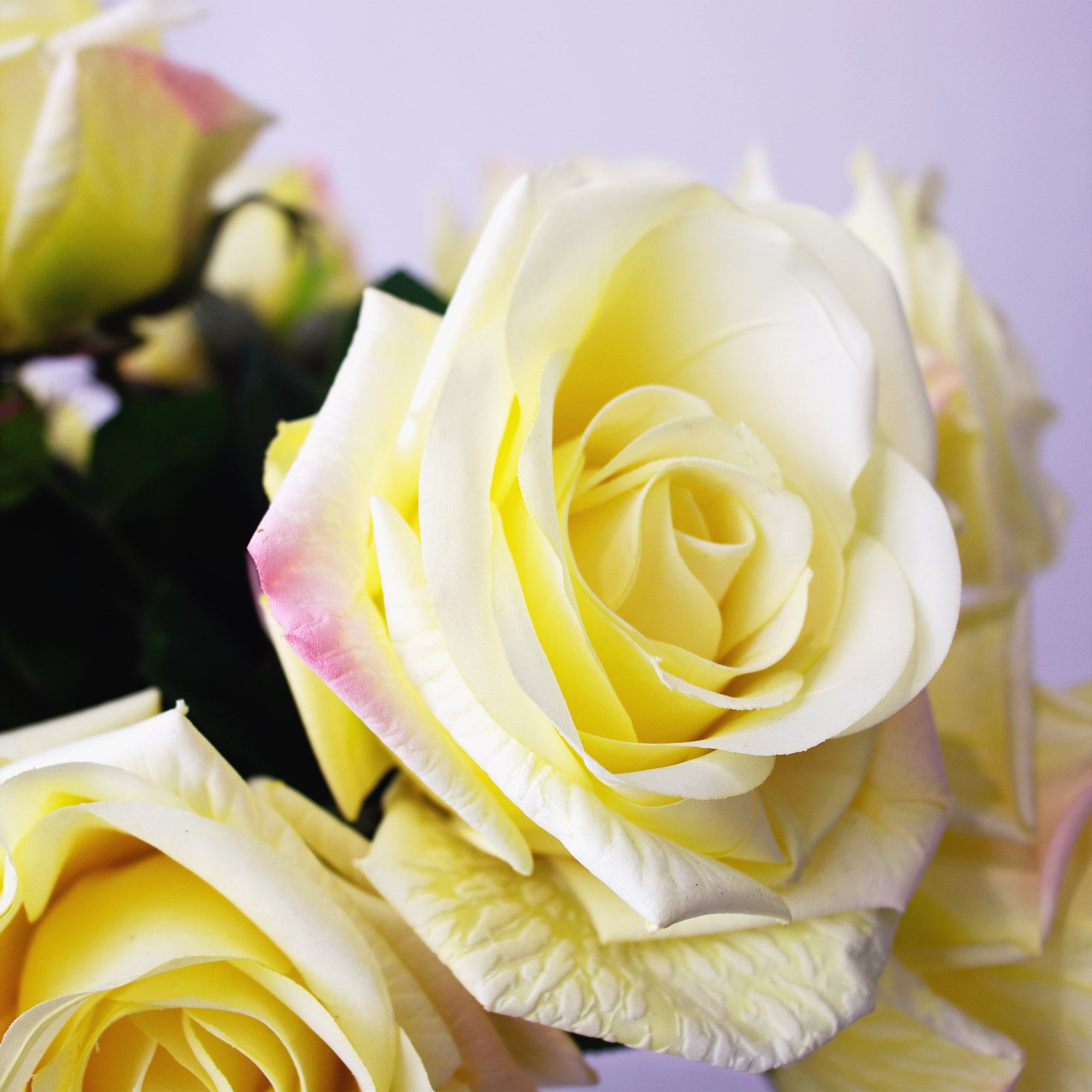 ROSES RT YELLOW IN 20 CM TAPERED VASE