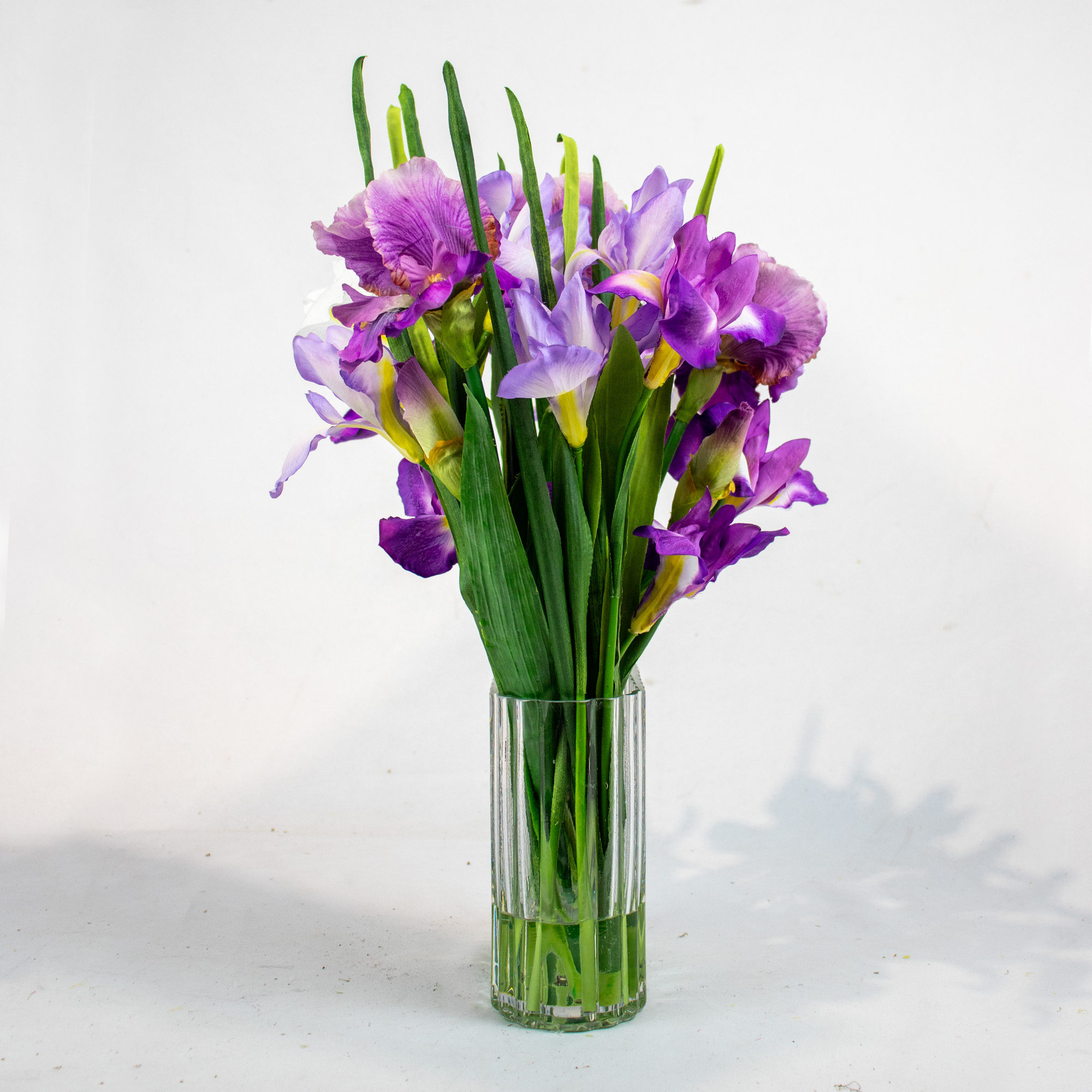 IRIS PURPLES IN RIBBED RECT VASE