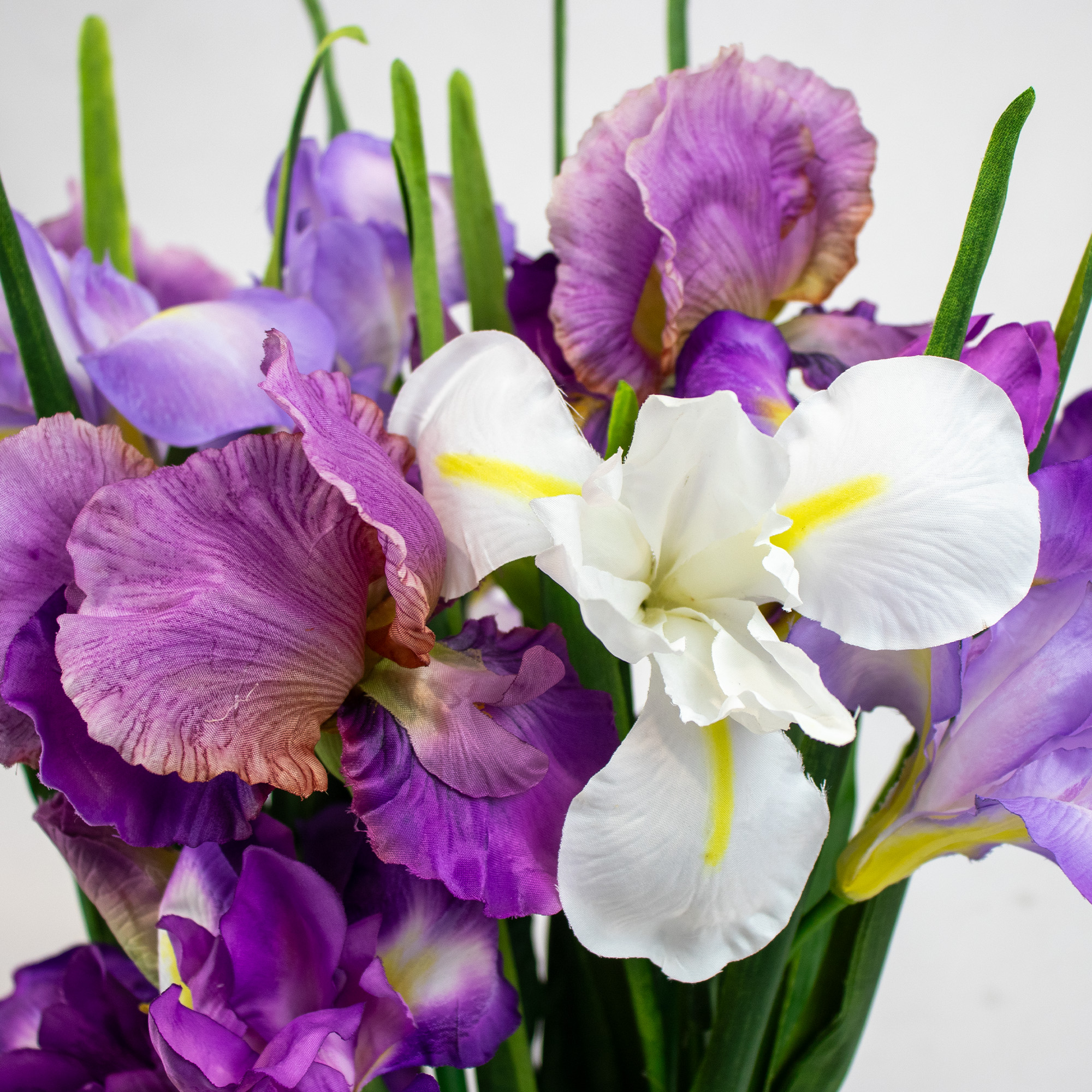 IRIS PURPLES IN RIBBED RECT VASE