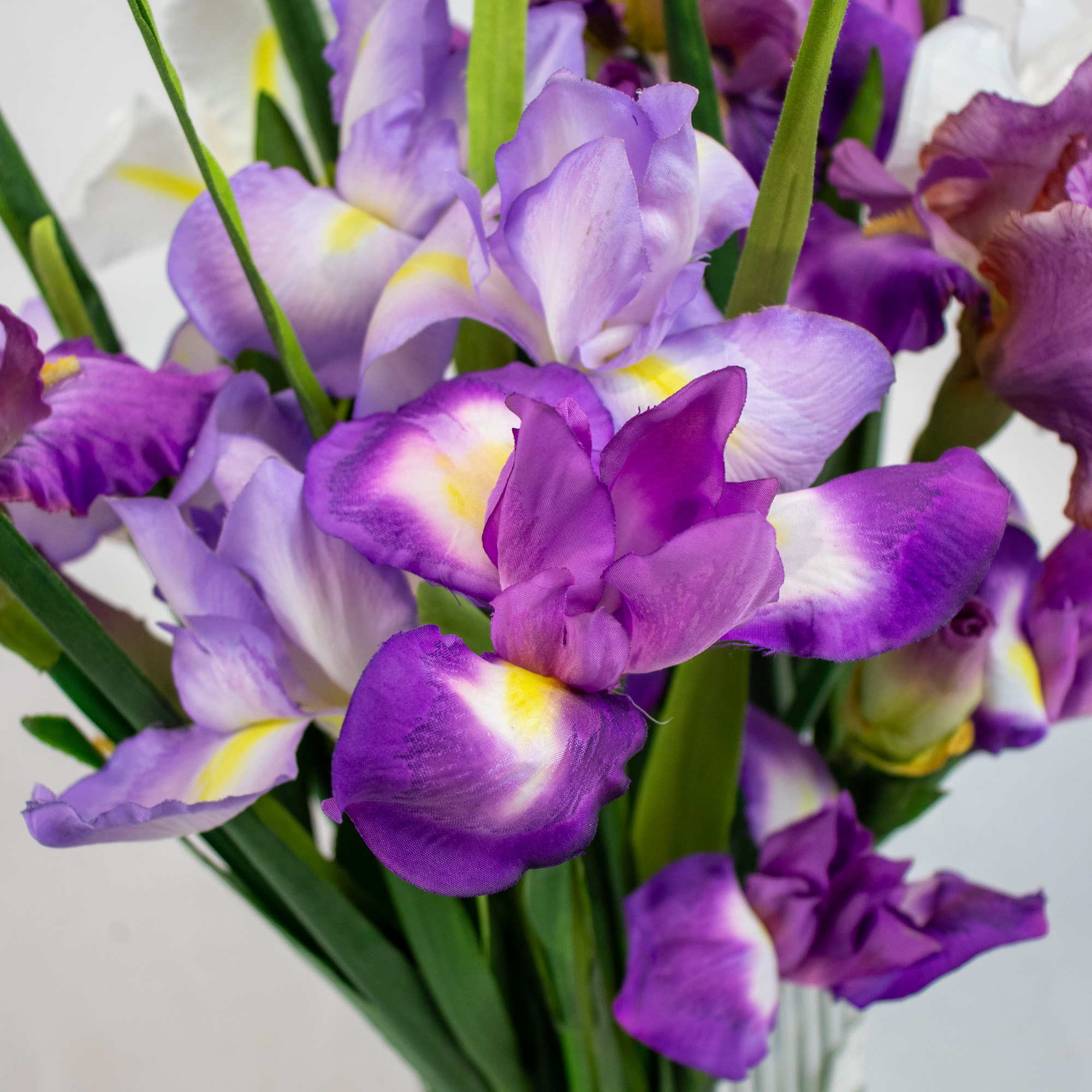 IRIS PURPLES IN RIBBED RECT VASE