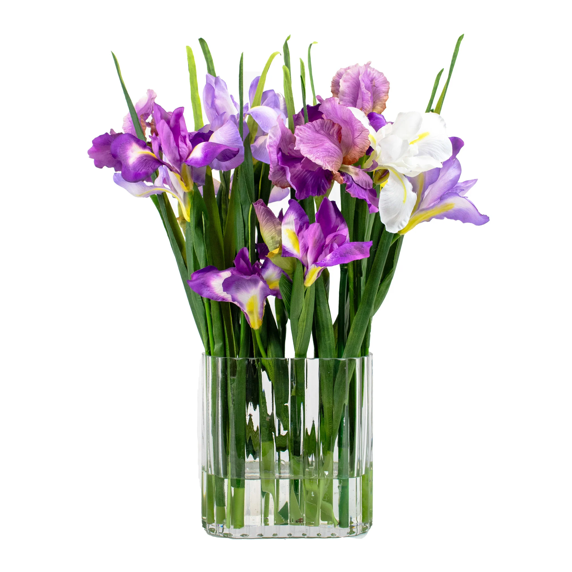 IRIS PURPLES IN RIBBED RECT VASE