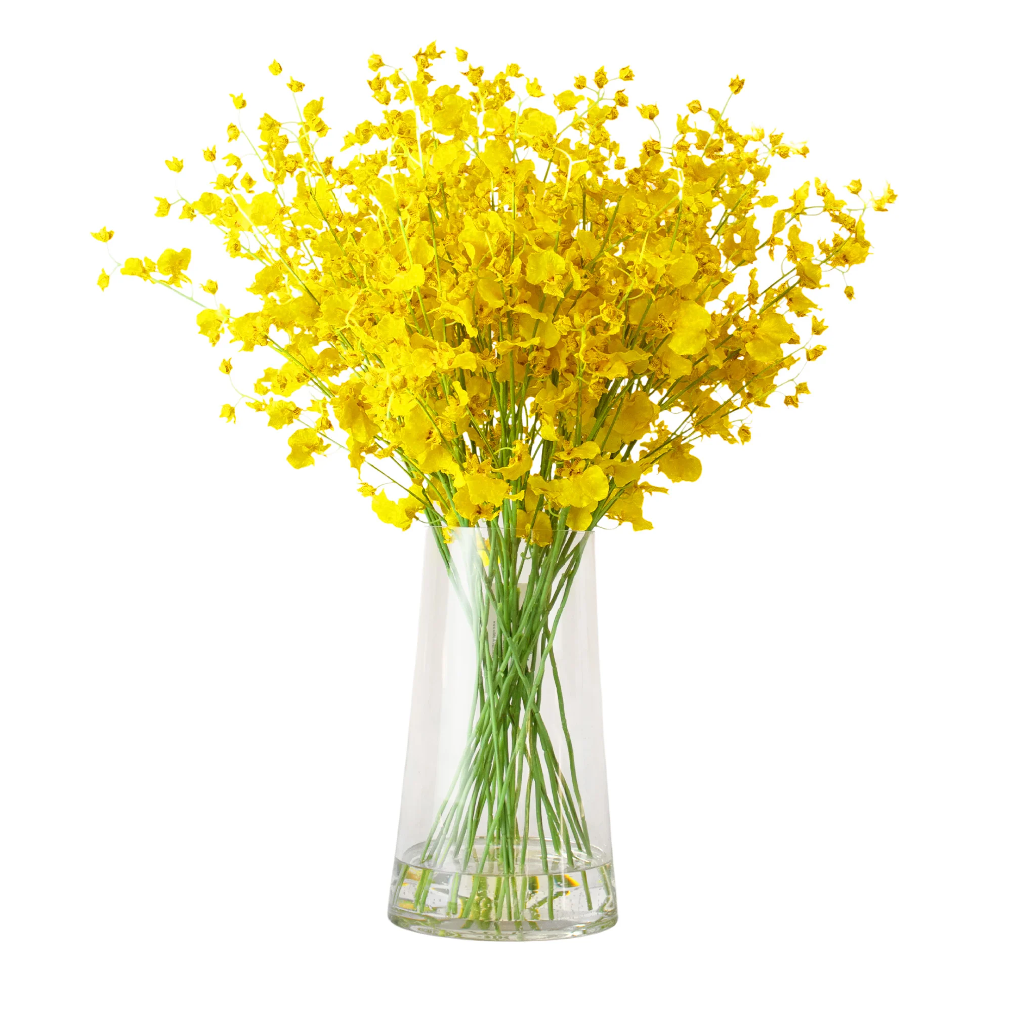 Dancing Orchids Yellow In 30cm Glass Vase