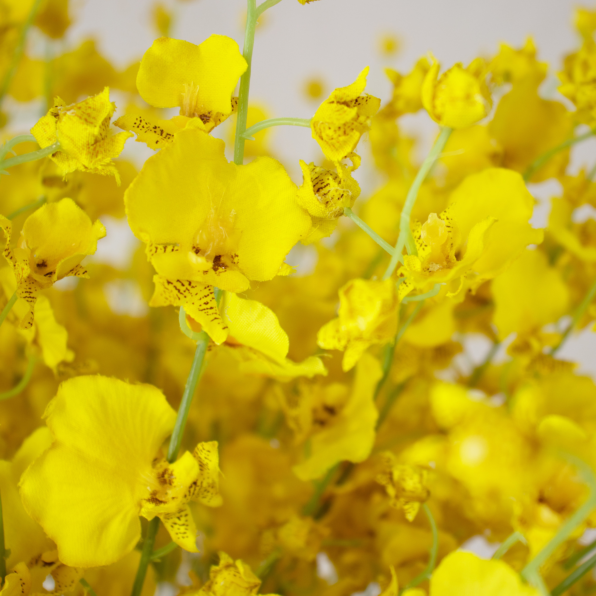 Dancing Orchids Yellow In 30cm Glass Vase