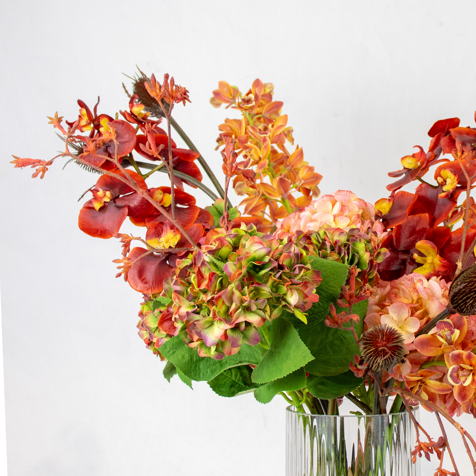 Large Clay Mix Orchid & Hydrangea Arrangement in Ribbed Clear Glass Vase